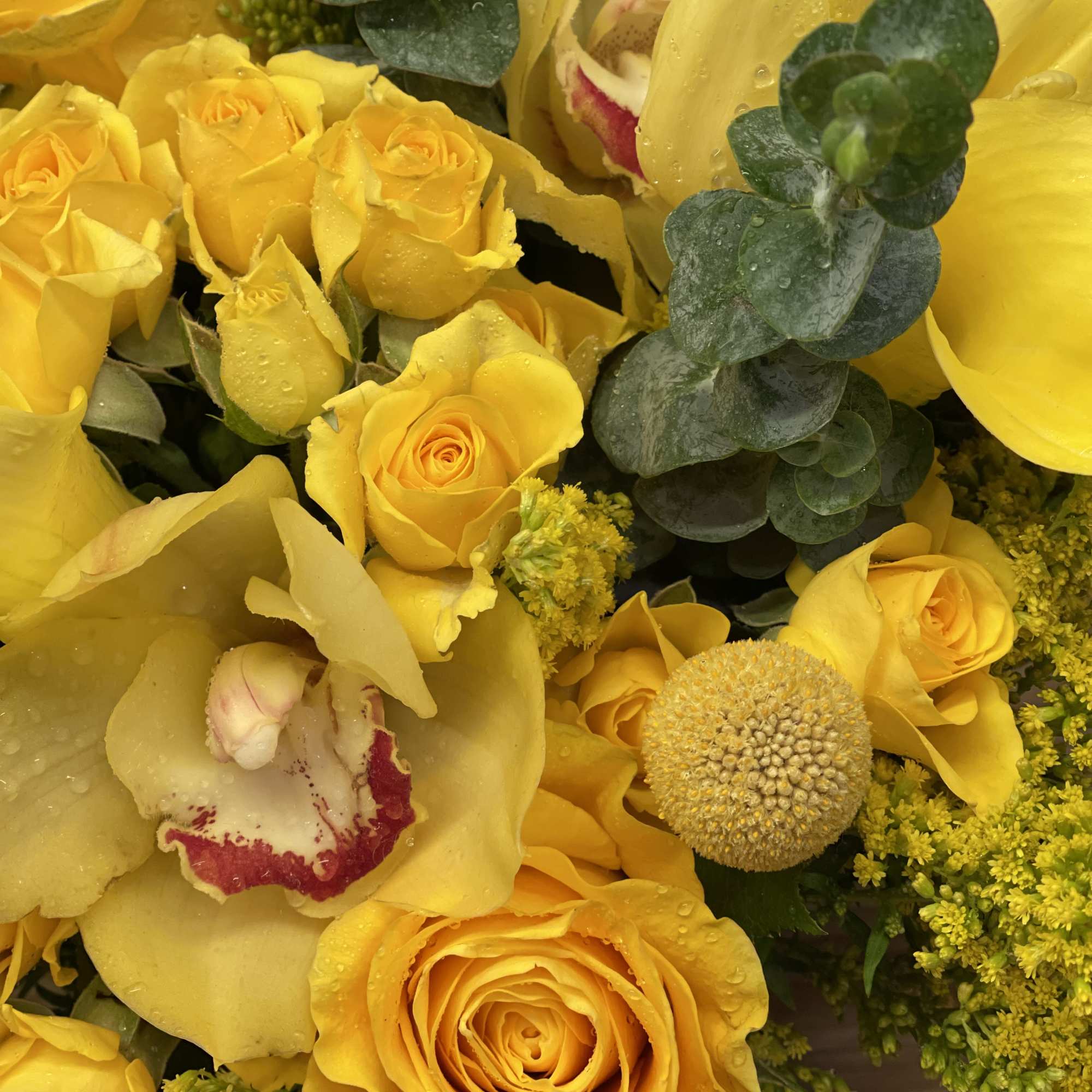 Yellow roses and orchids with round eucalyptus foliage