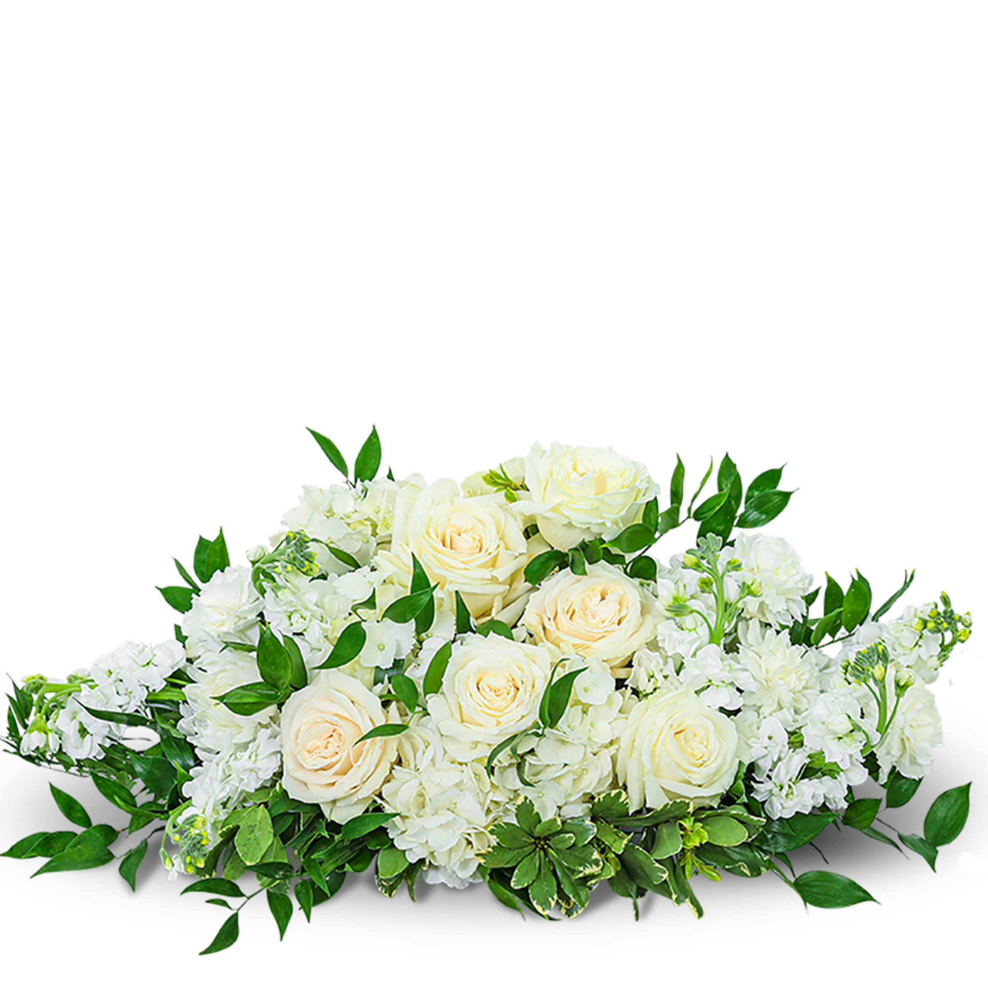 Cream roses and white flowers in a low arrangement with green foliage