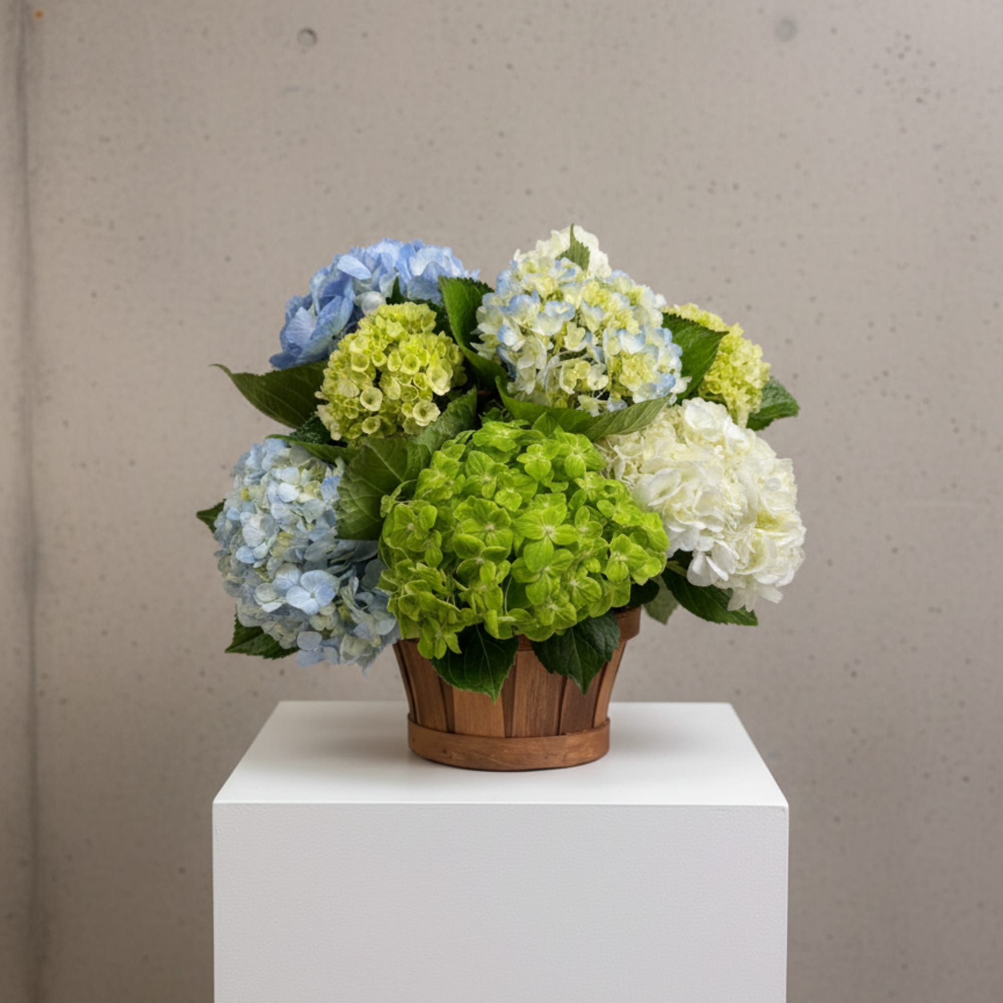 Blue, green, and white hydrangeas in a wooden basket