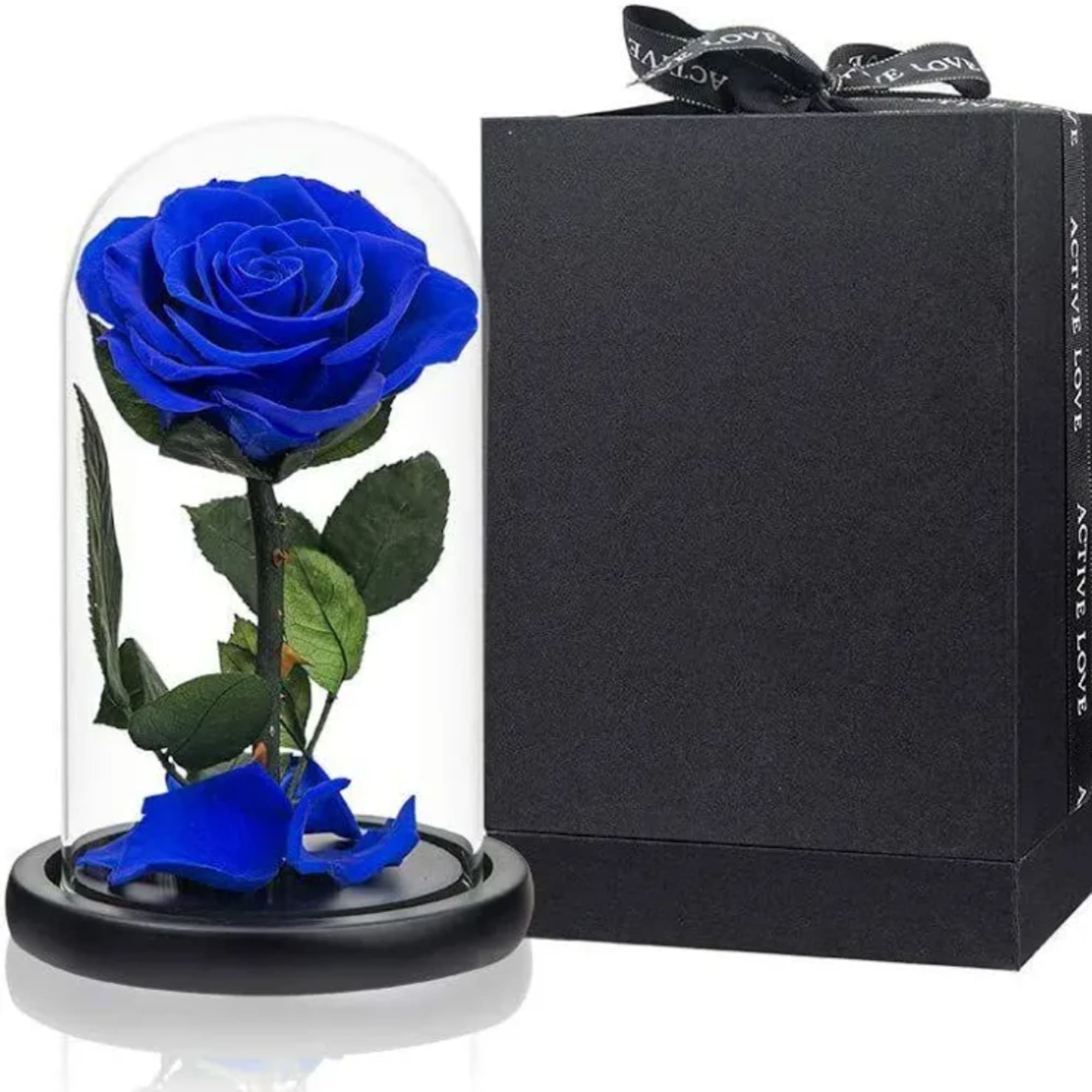 Blue rose under a glass dome beside a black gift box