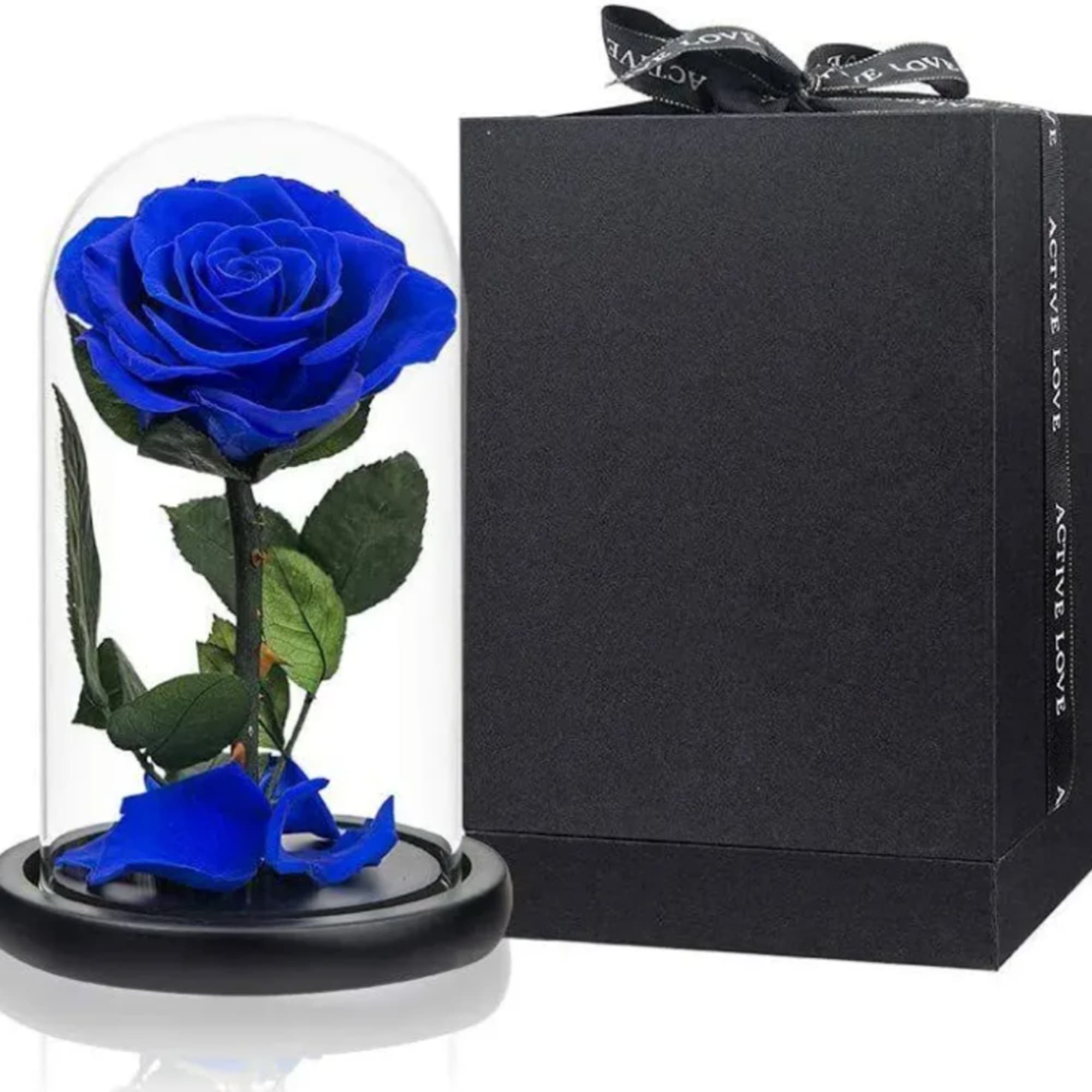 Blue rose under a glass dome beside a black gift box