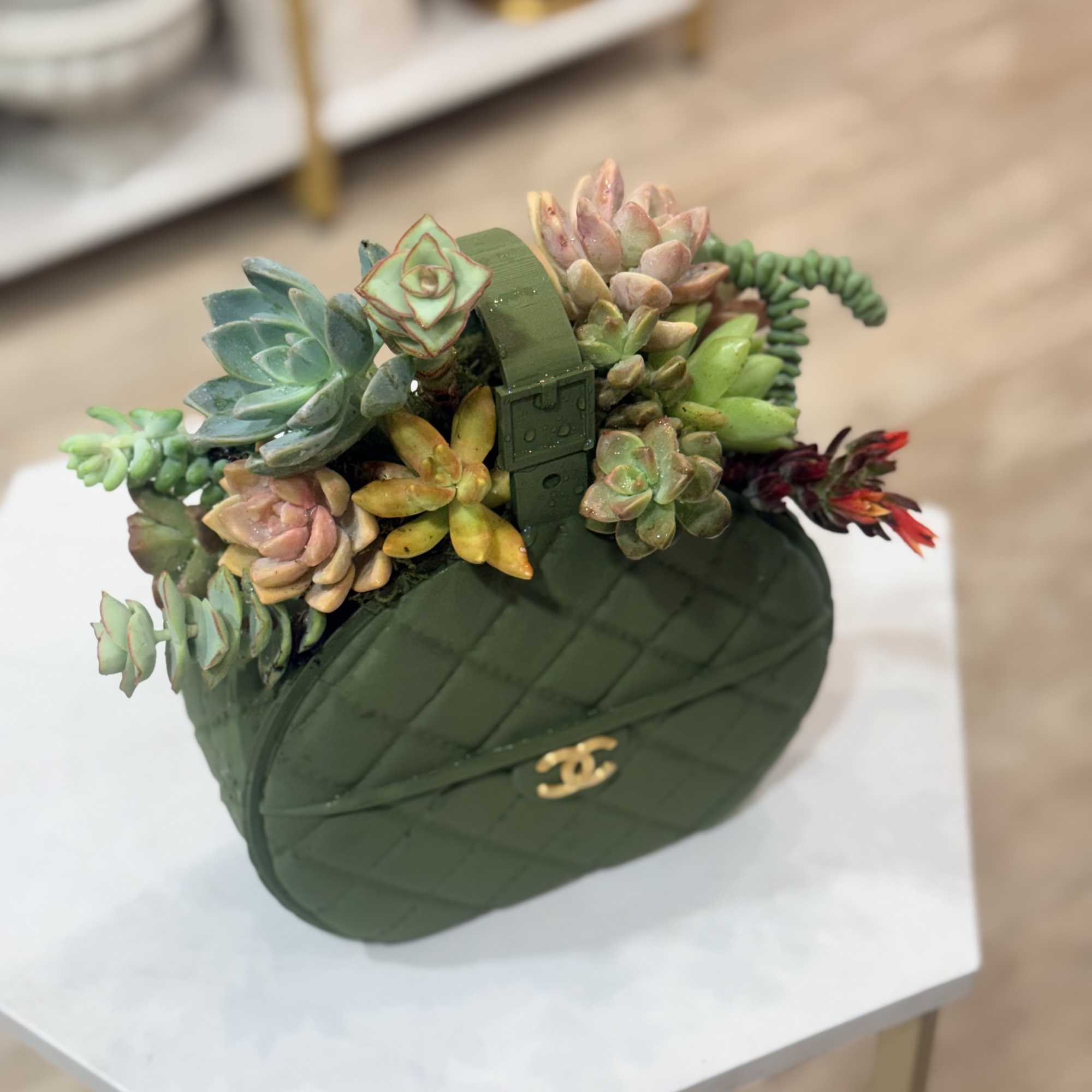 Succulent arrangement in a dark green handbag-shaped container