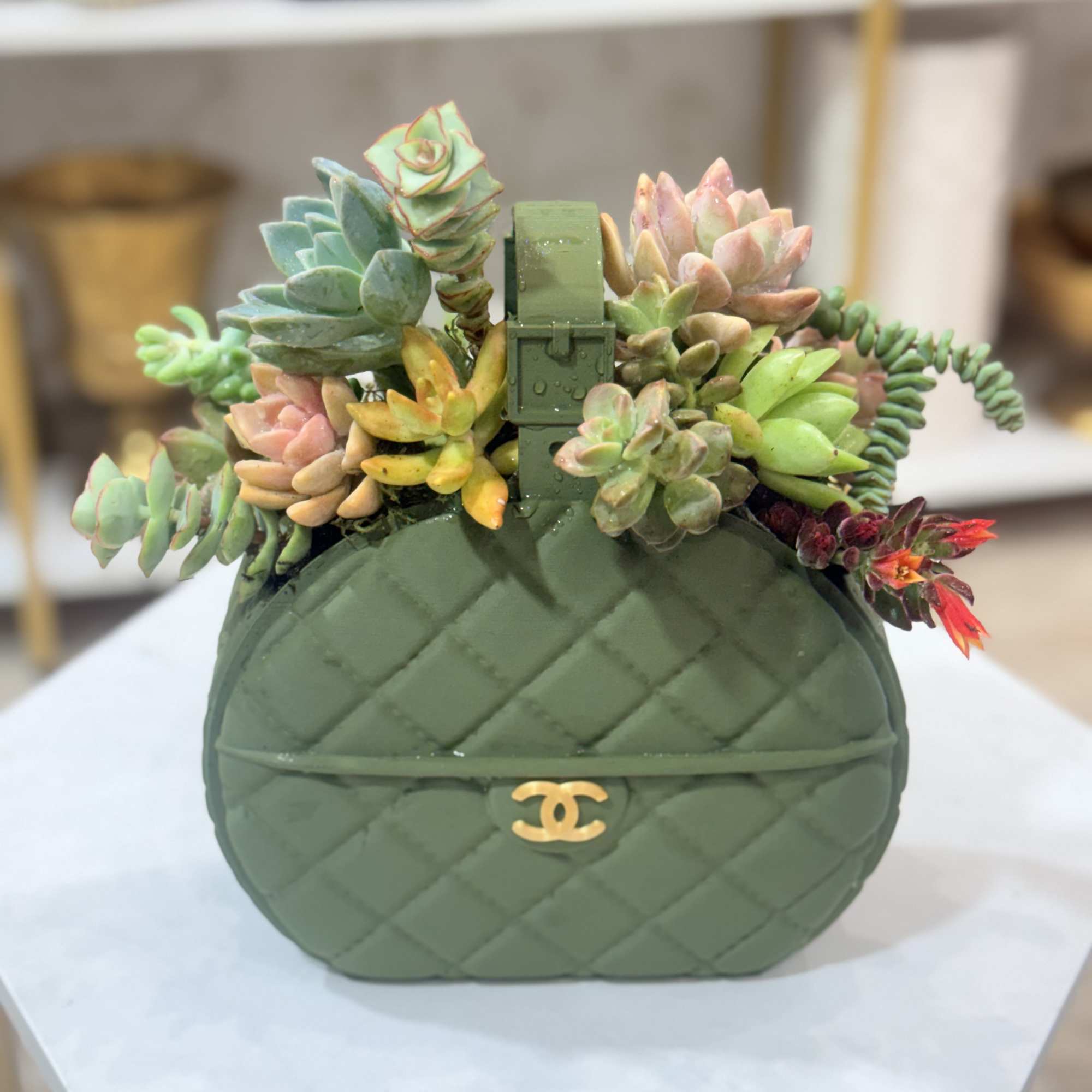 Succulent arrangement in a green quilted handbag-shaped container