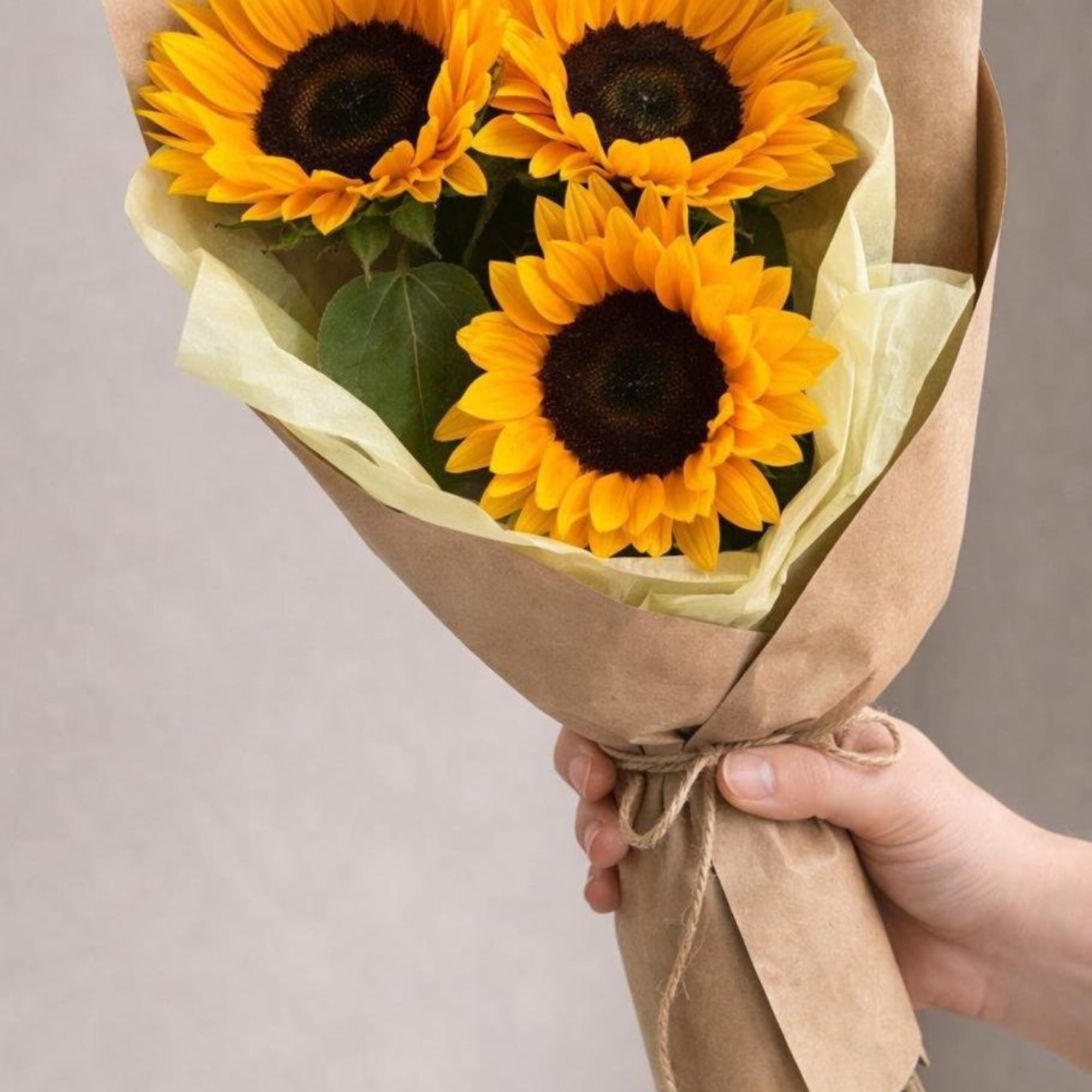 Handheld bouquet of three sunflowers wrapped in brown paper