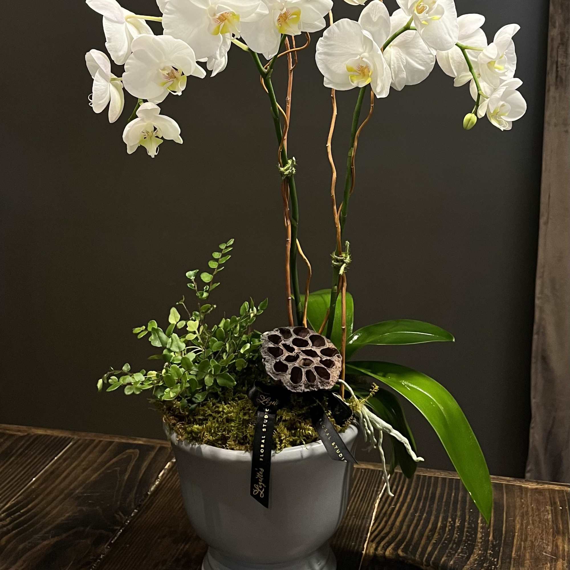 White orchid plant in a gray pot with moss and decorative accents
