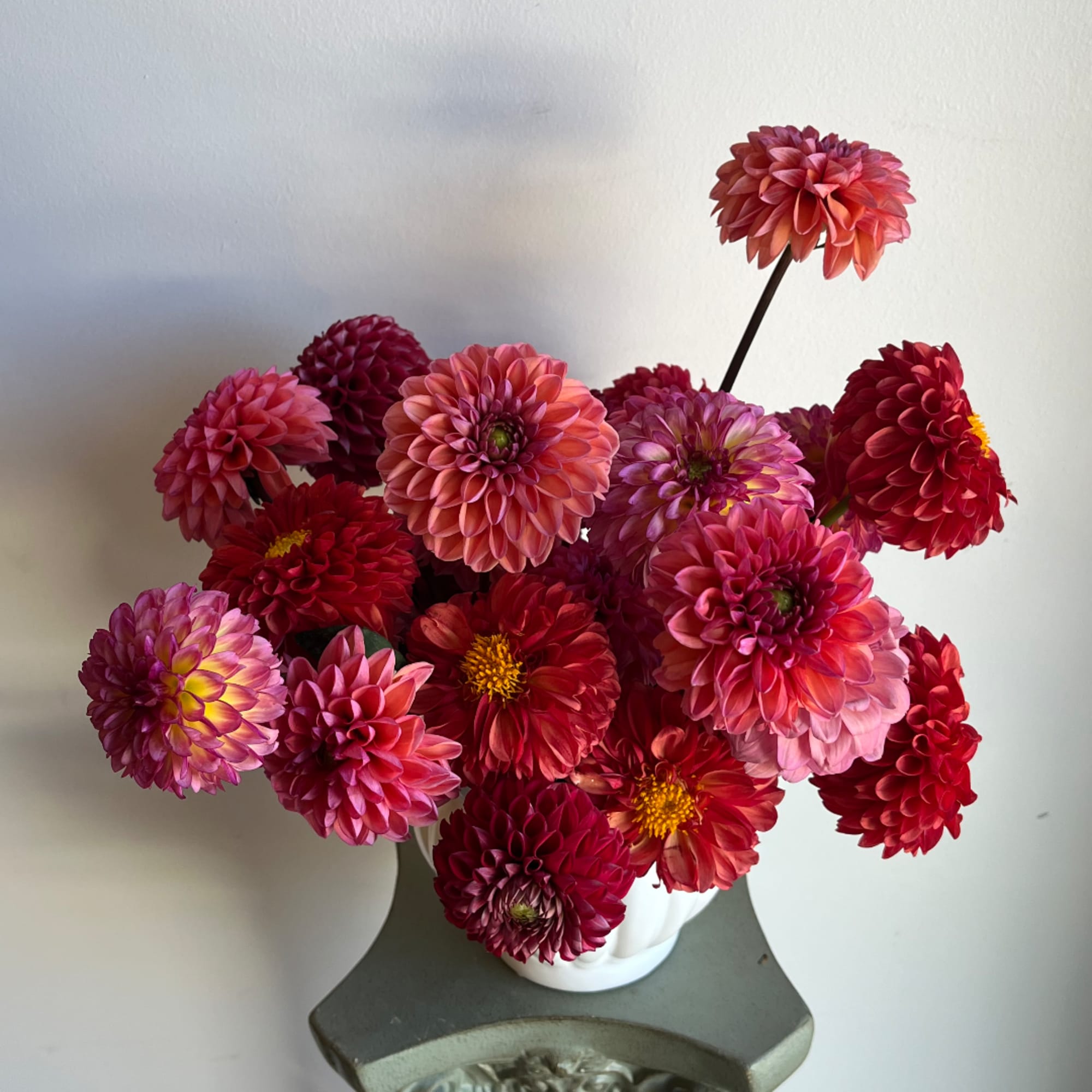 Bouquet of red and pink dahlias in a white vase, photo 4 of 4