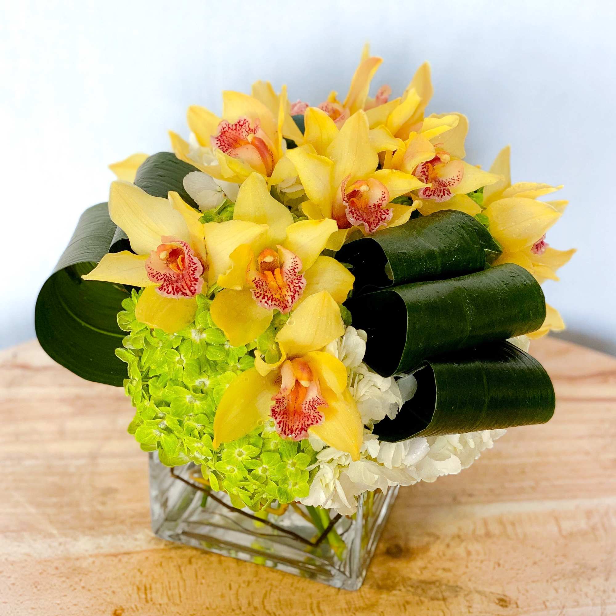Yellow orchids and green hydrangeas in a square glass vase