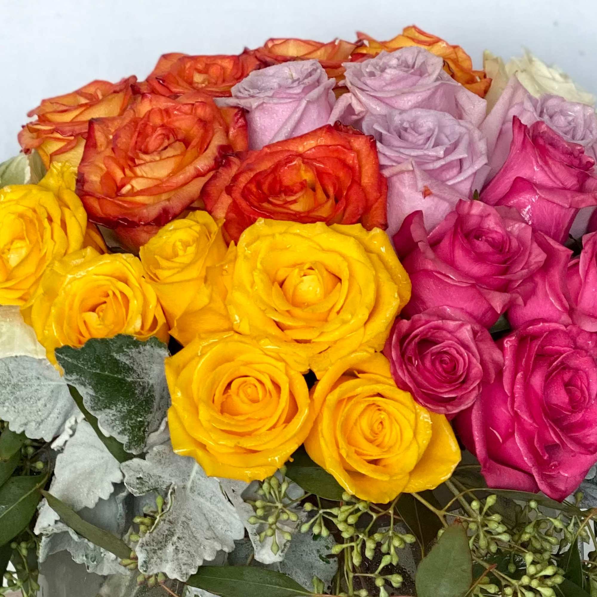 Bouquet of multicolored roses with silver foliage