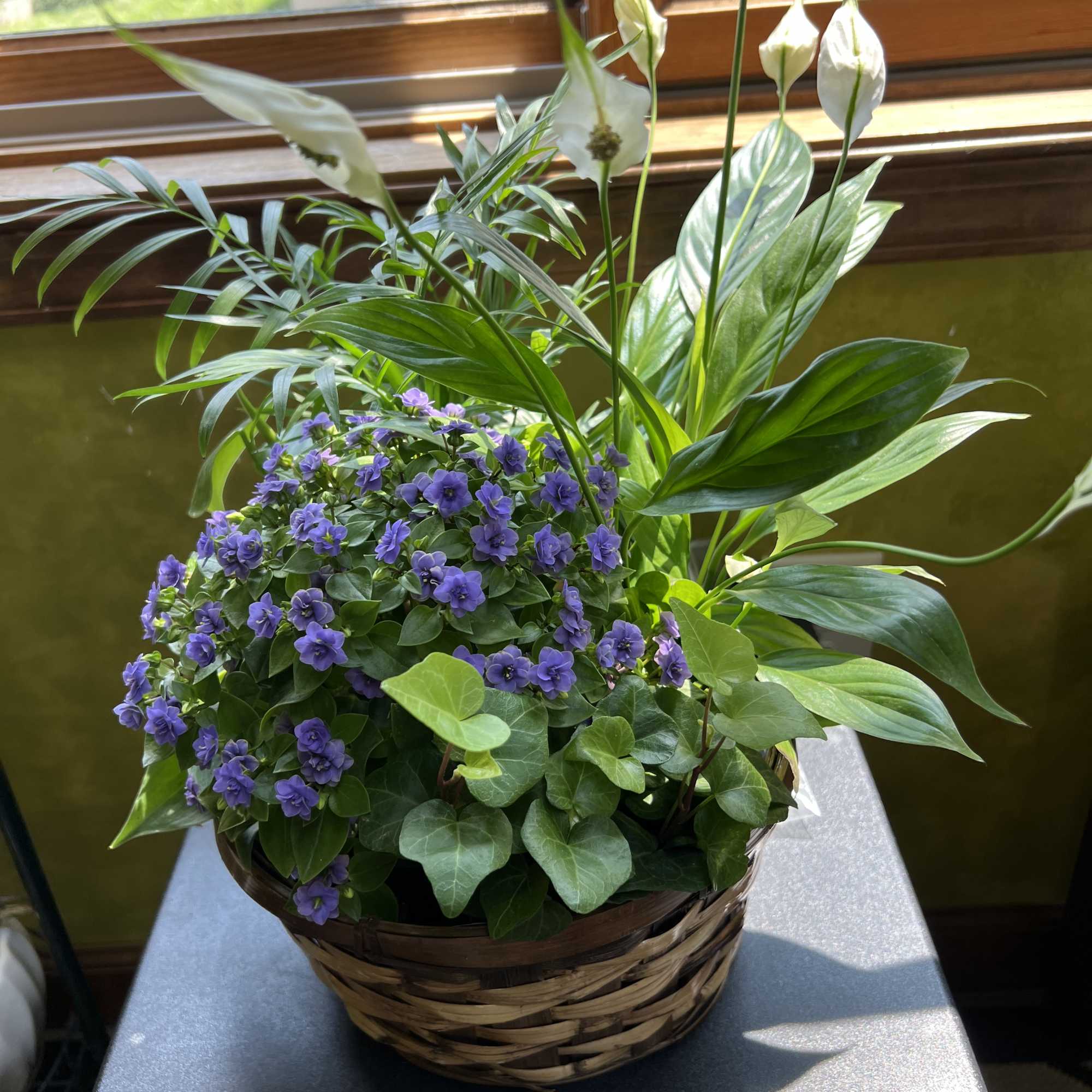 Our Blooming Basket is just the right size for tabletop or coffee