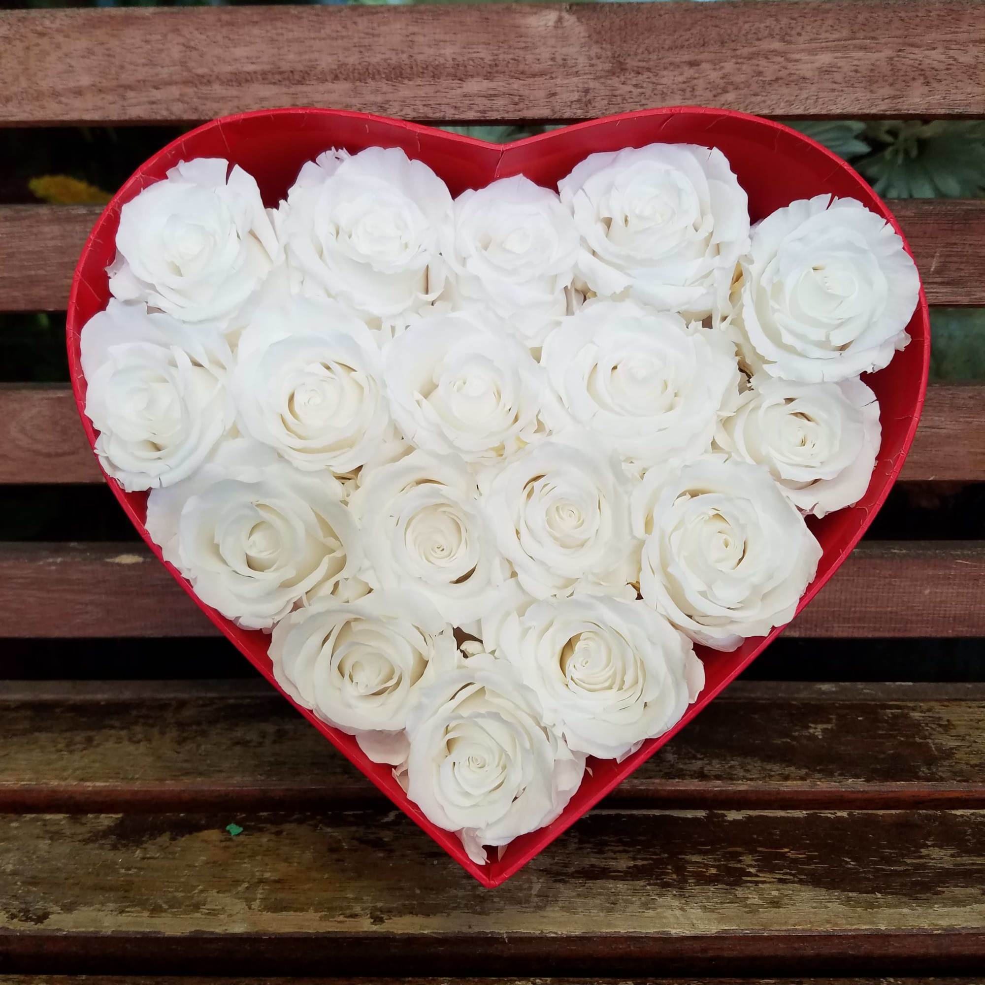 White roses arranged in a red heart-shaped box