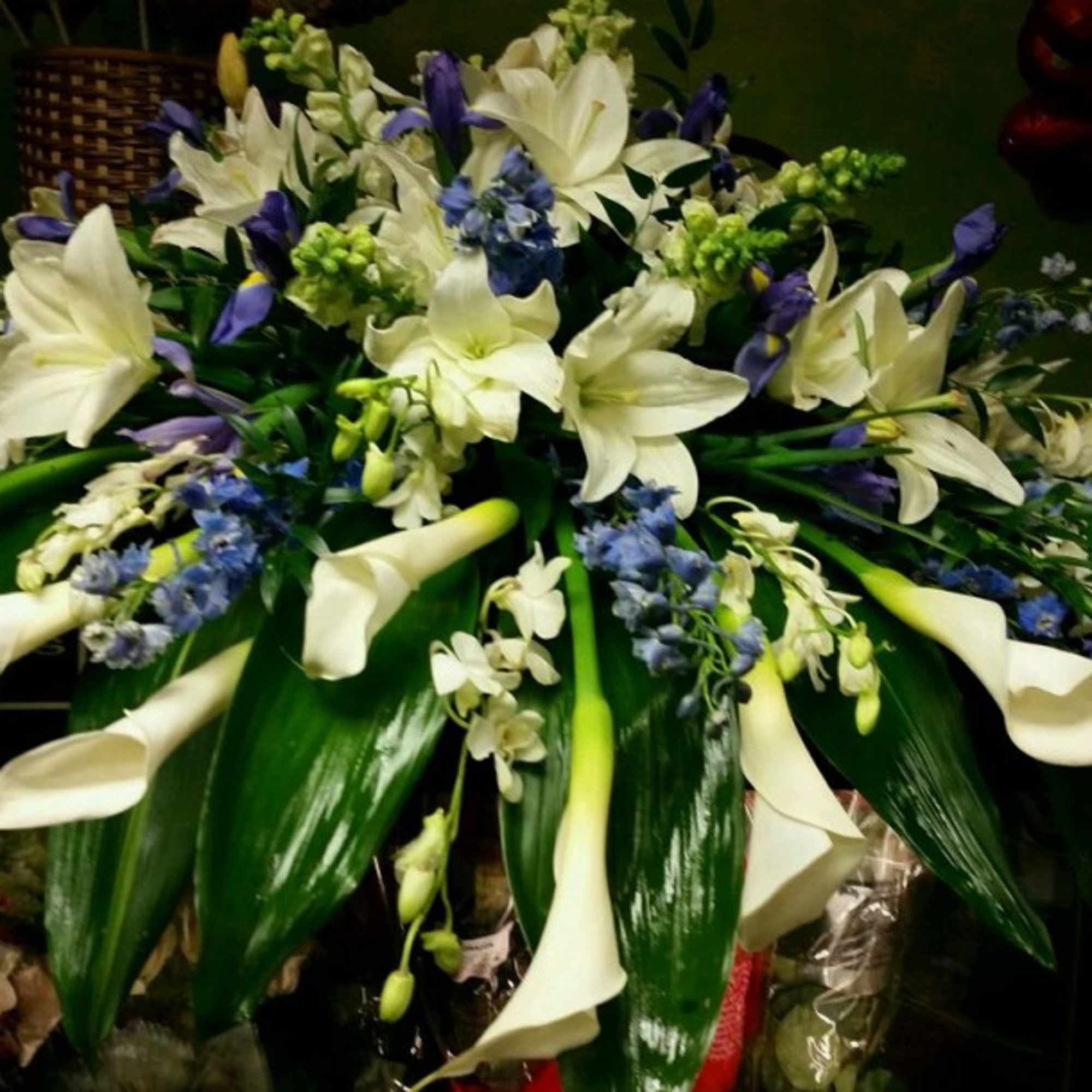 White lilies and blue flowers arranged in a low, wide display