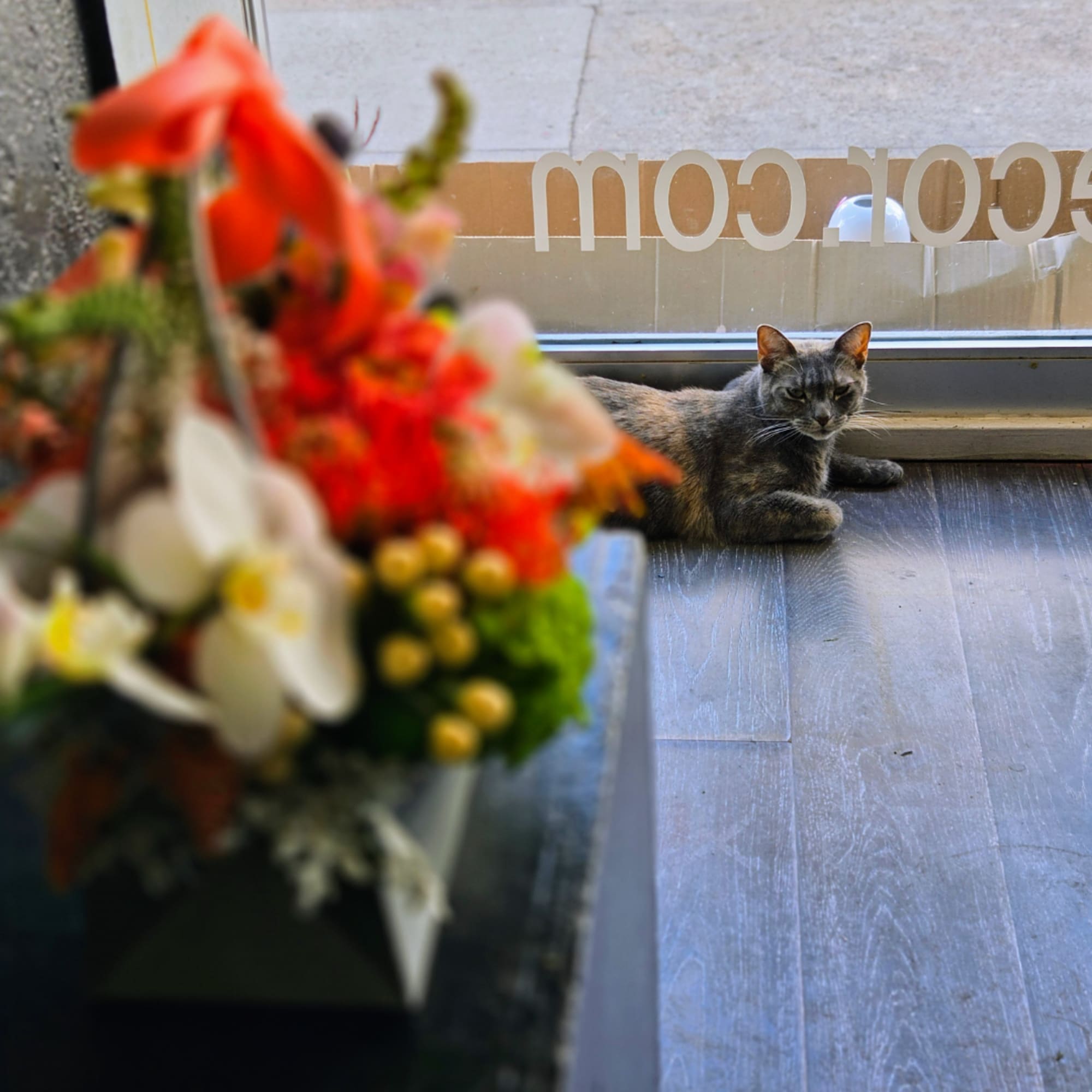 Blurred orange and white flower arrangement in the foreground with a cat resting by a window