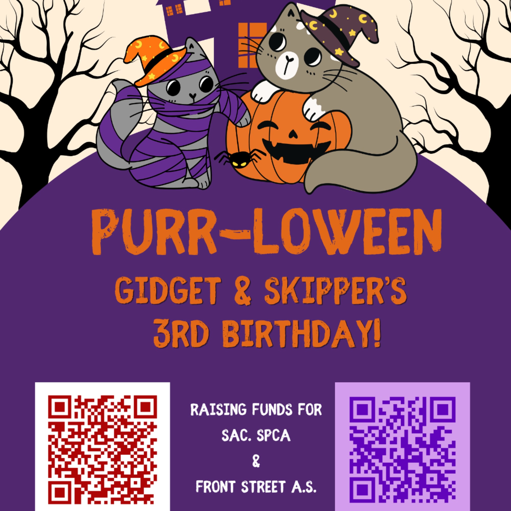 Halloween-themed birthday fundraiser poster with two cartoon cats on a pumpkin