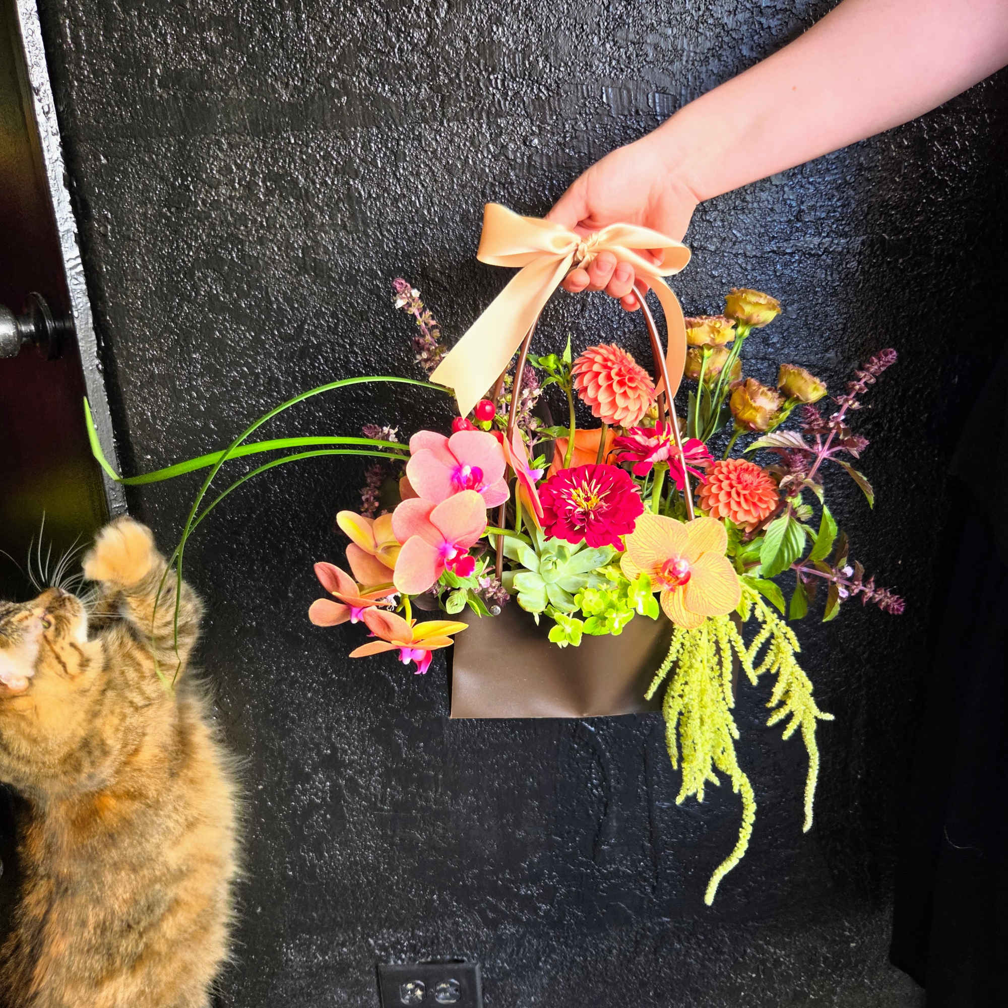 Handheld basket arrangement with orchids and bright mixed blooms