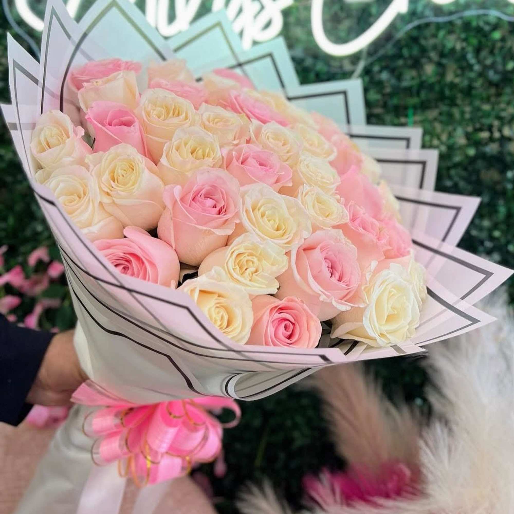 Hand-tied bouquet of pastel pink and cream roses wrapped in white paper with a pink ribbon bow