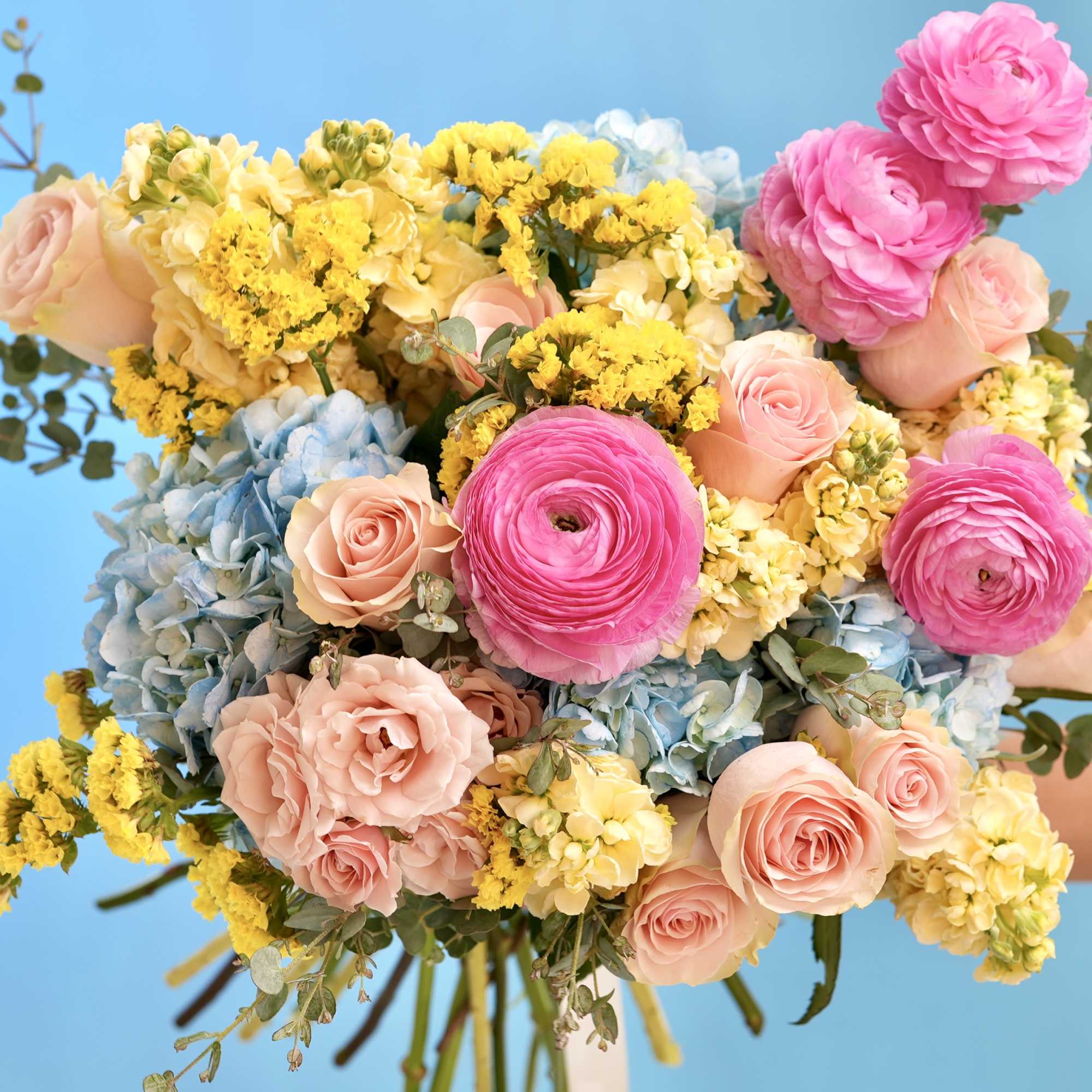 Bouquet of pink roses, blue hydrangeas, and yellow flowers against a blue background