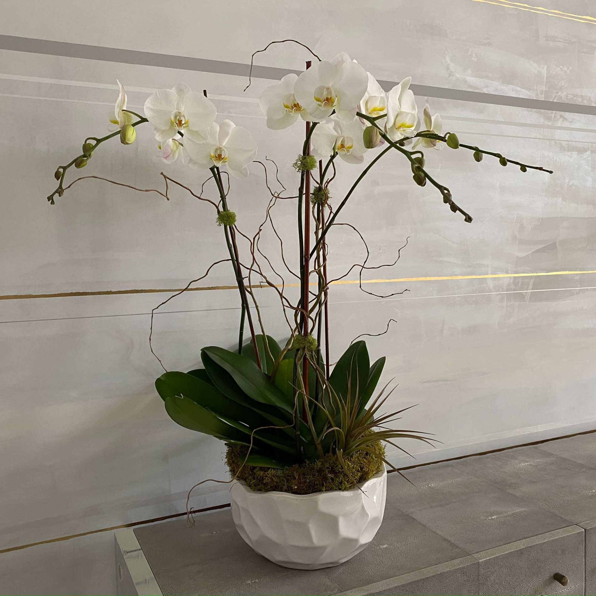 White orchid arrangement in a white ceramic bowl