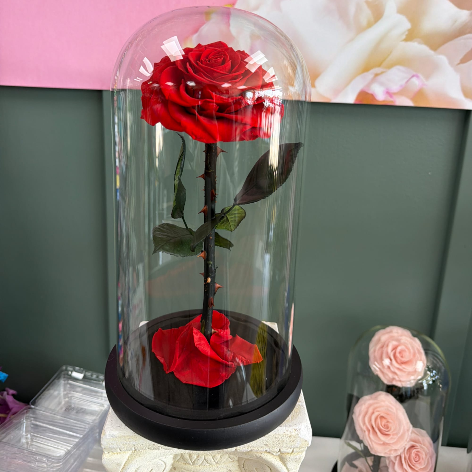 Red rose under a glass dome on a black base