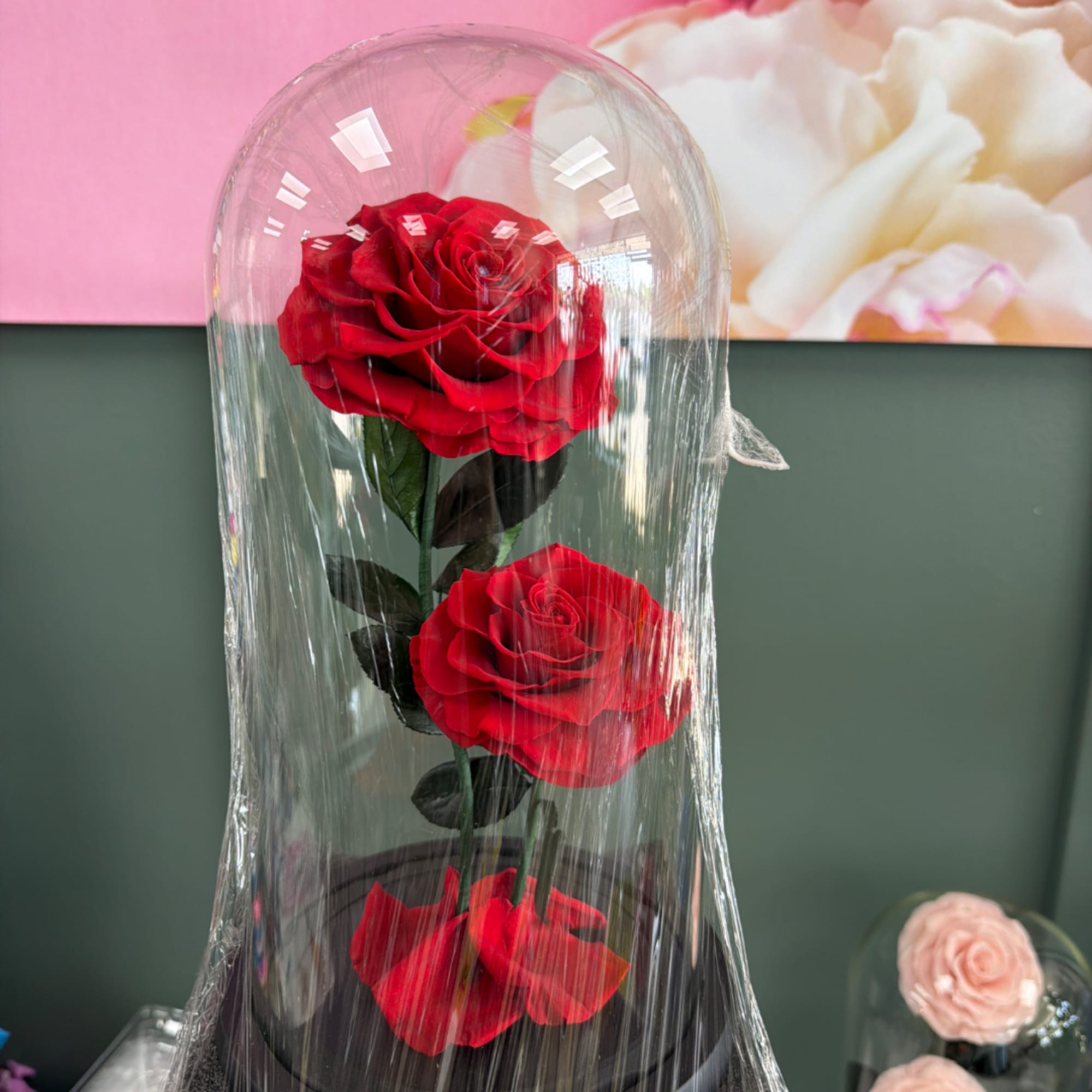 Three red roses under a clear dome on a black base