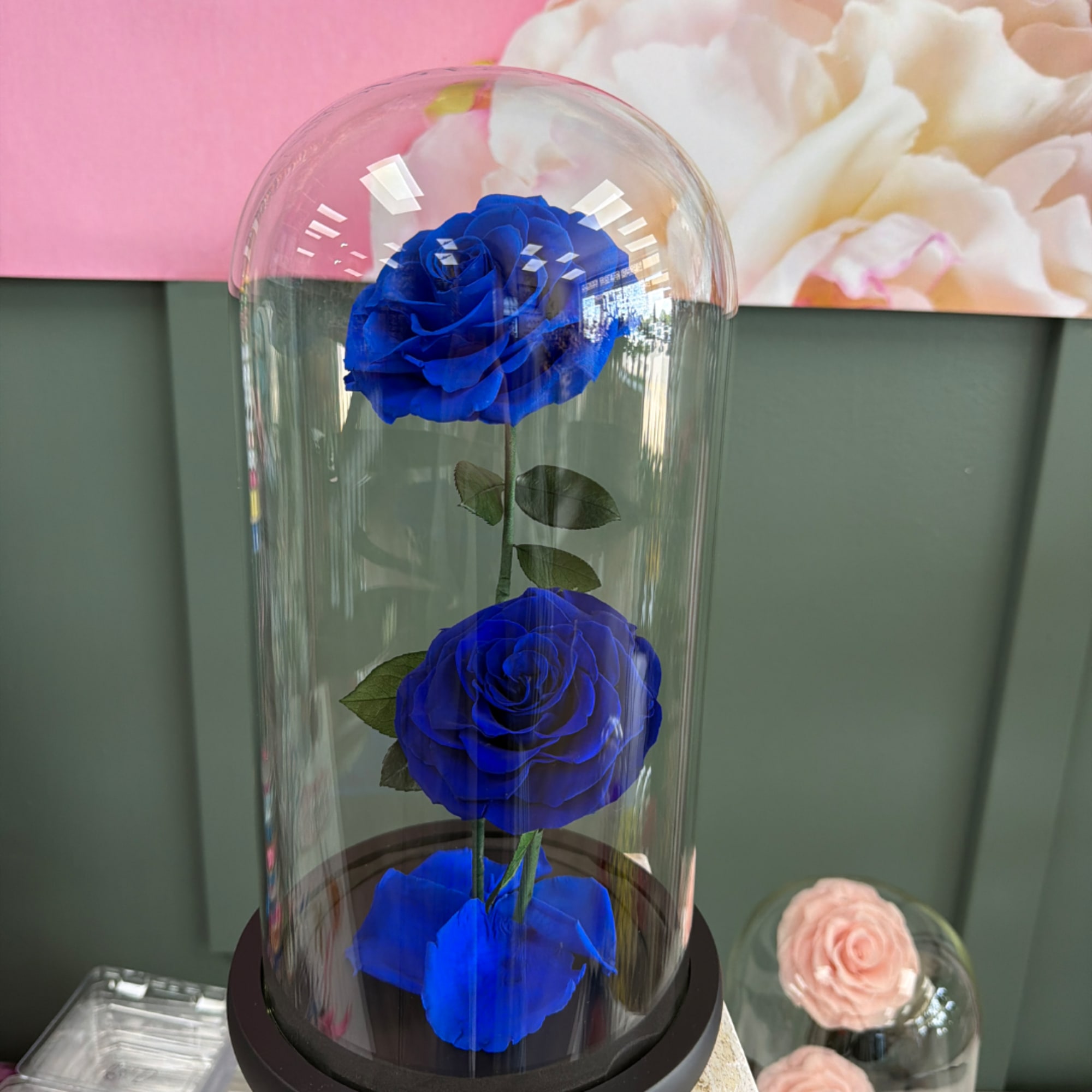 Blue roses under a glass dome with a dark base