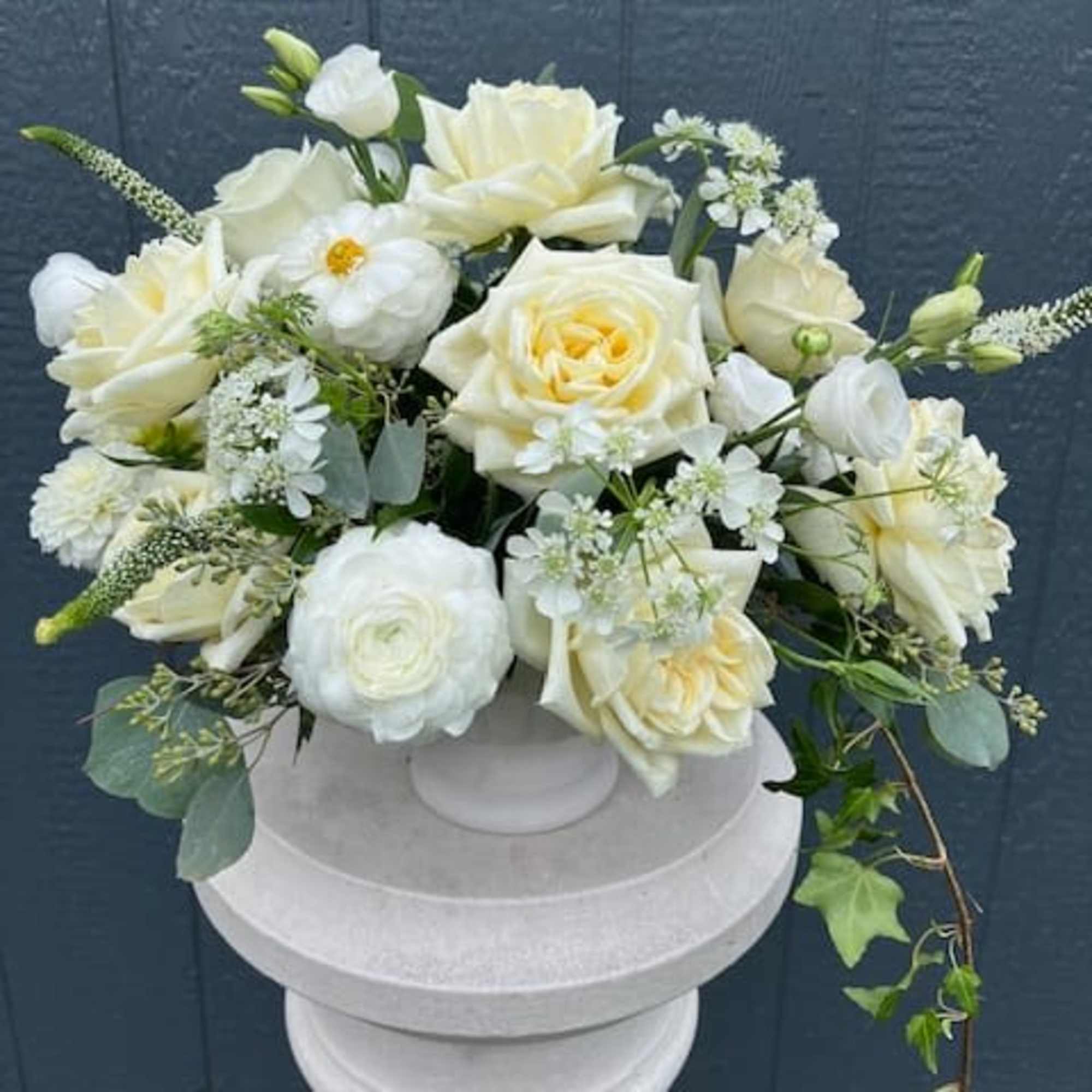 White and cream roses and ranunculus in a low white compote vase with trailing ivy