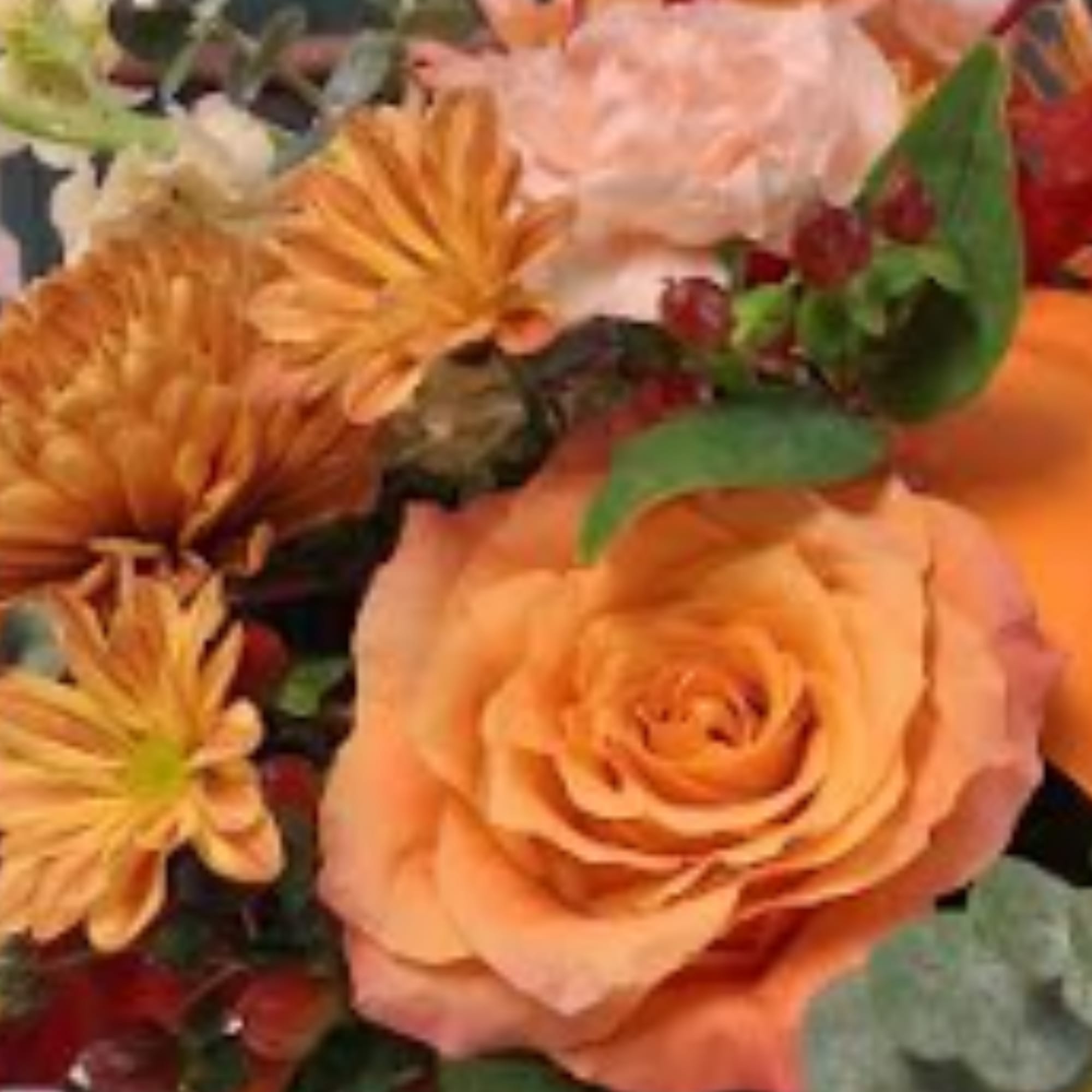 Peach roses and orange daisies in a close-up bouquet