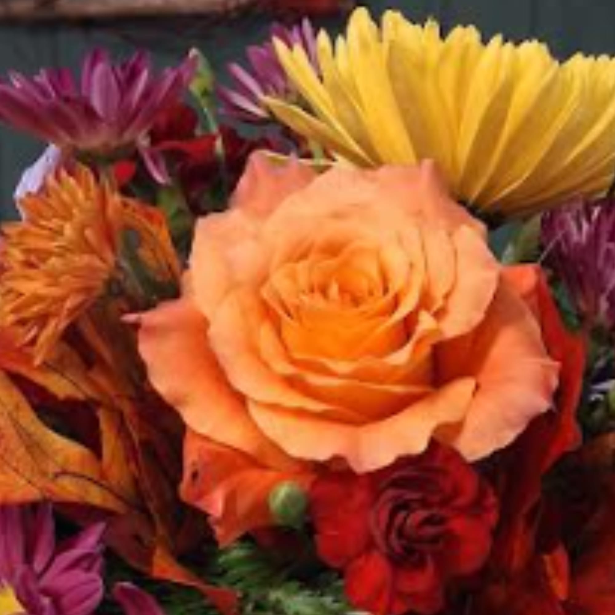 Bouquet of orange roses and colorful daisy-like flowers