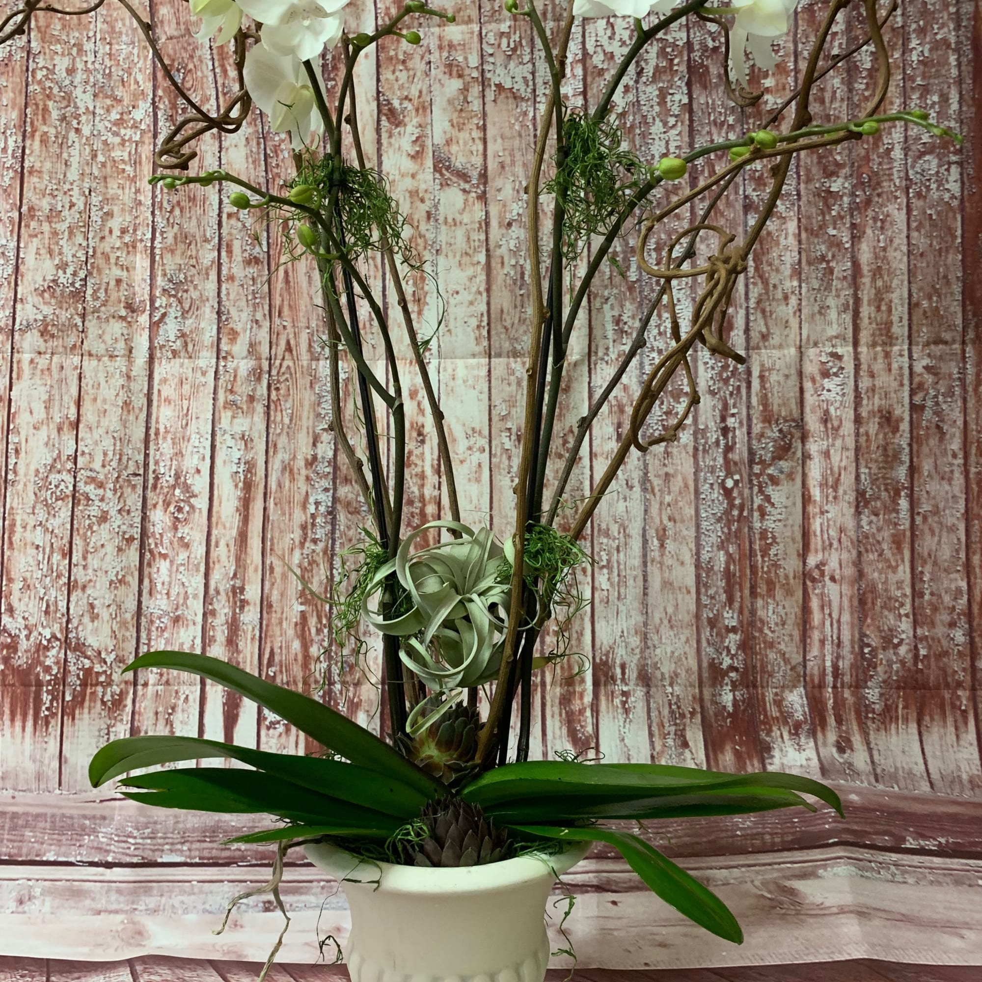 White orchid arrangement in a white pedestal vase
