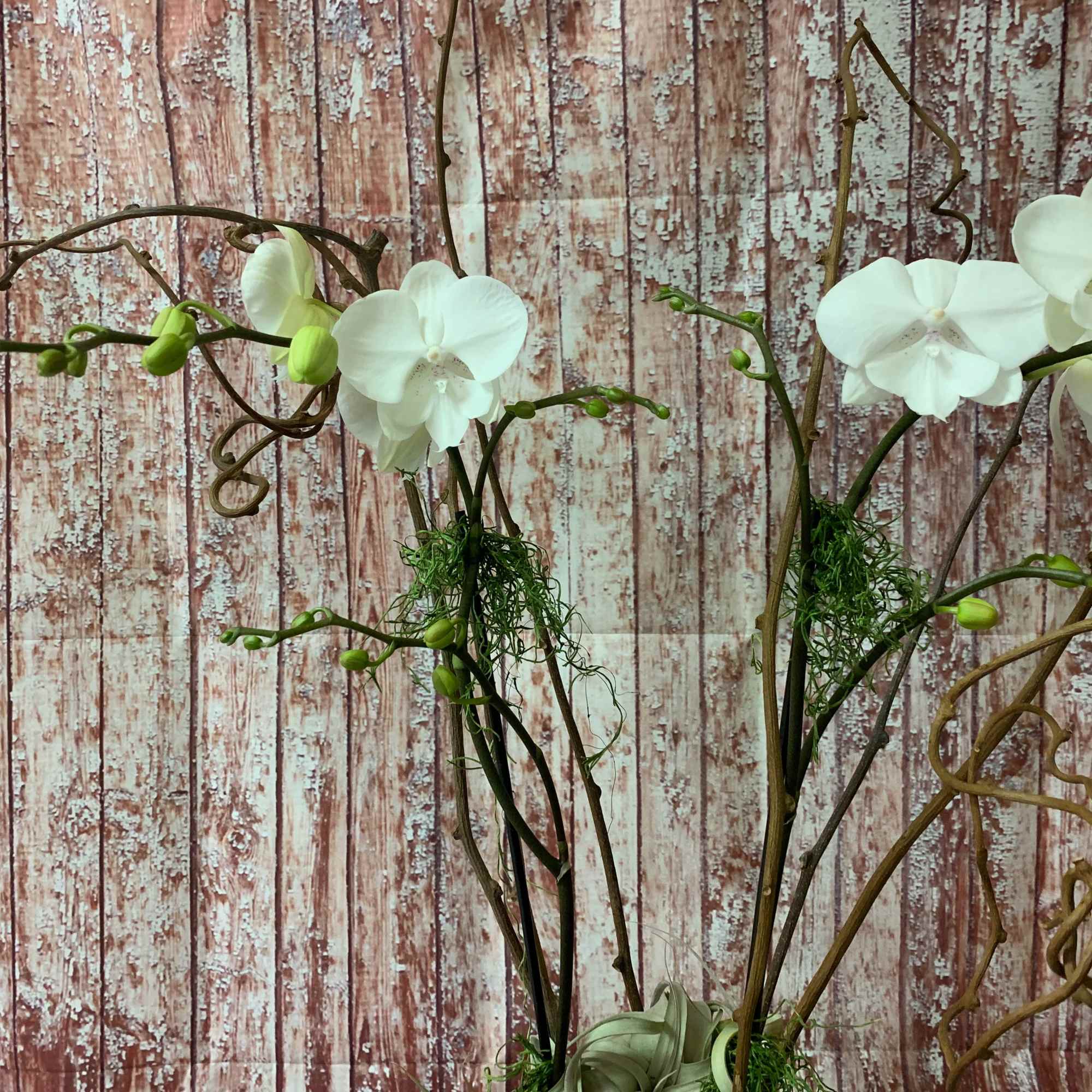 White orchids arranged with curly branches against a rustic wood backdrop.