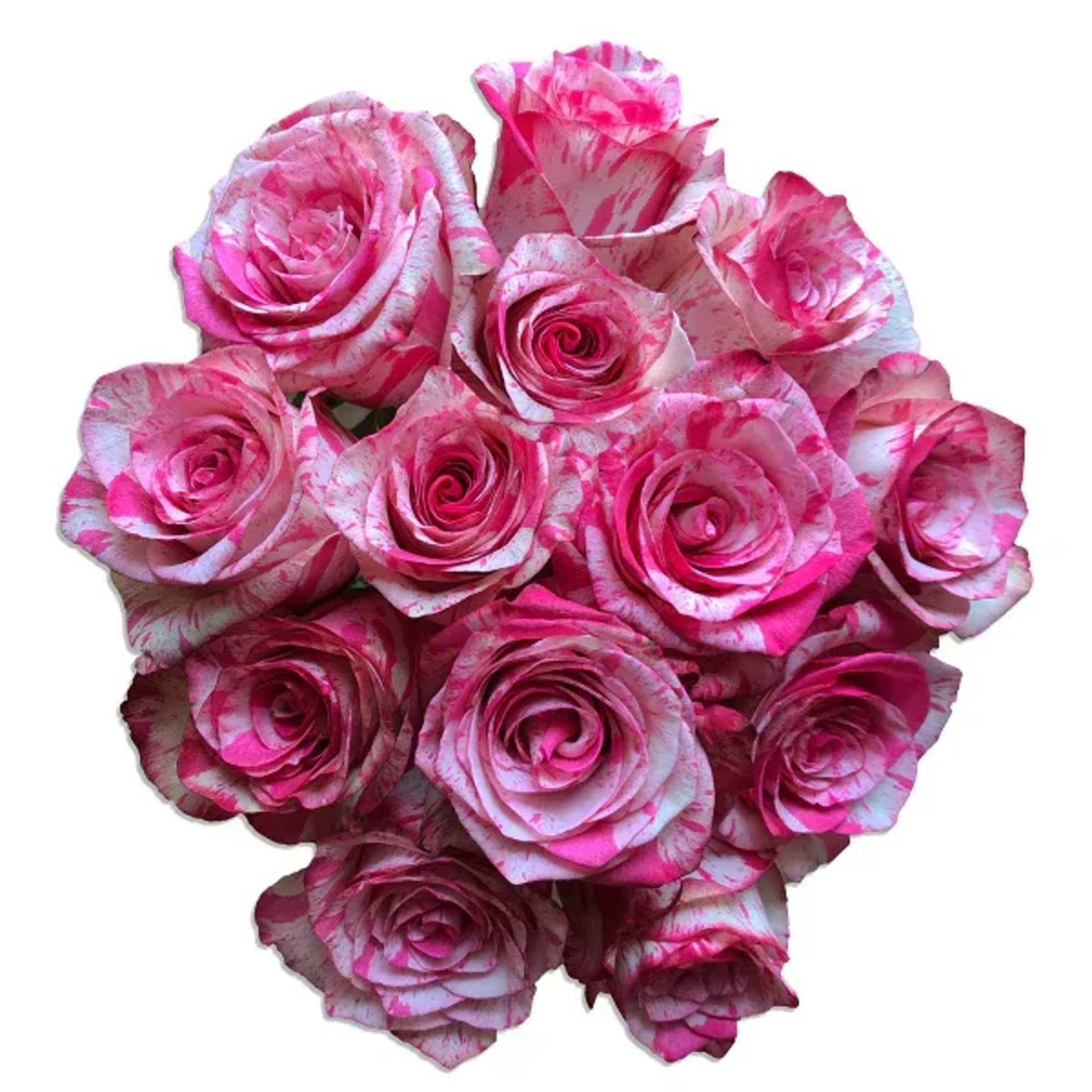 Bouquet of pink and white roses