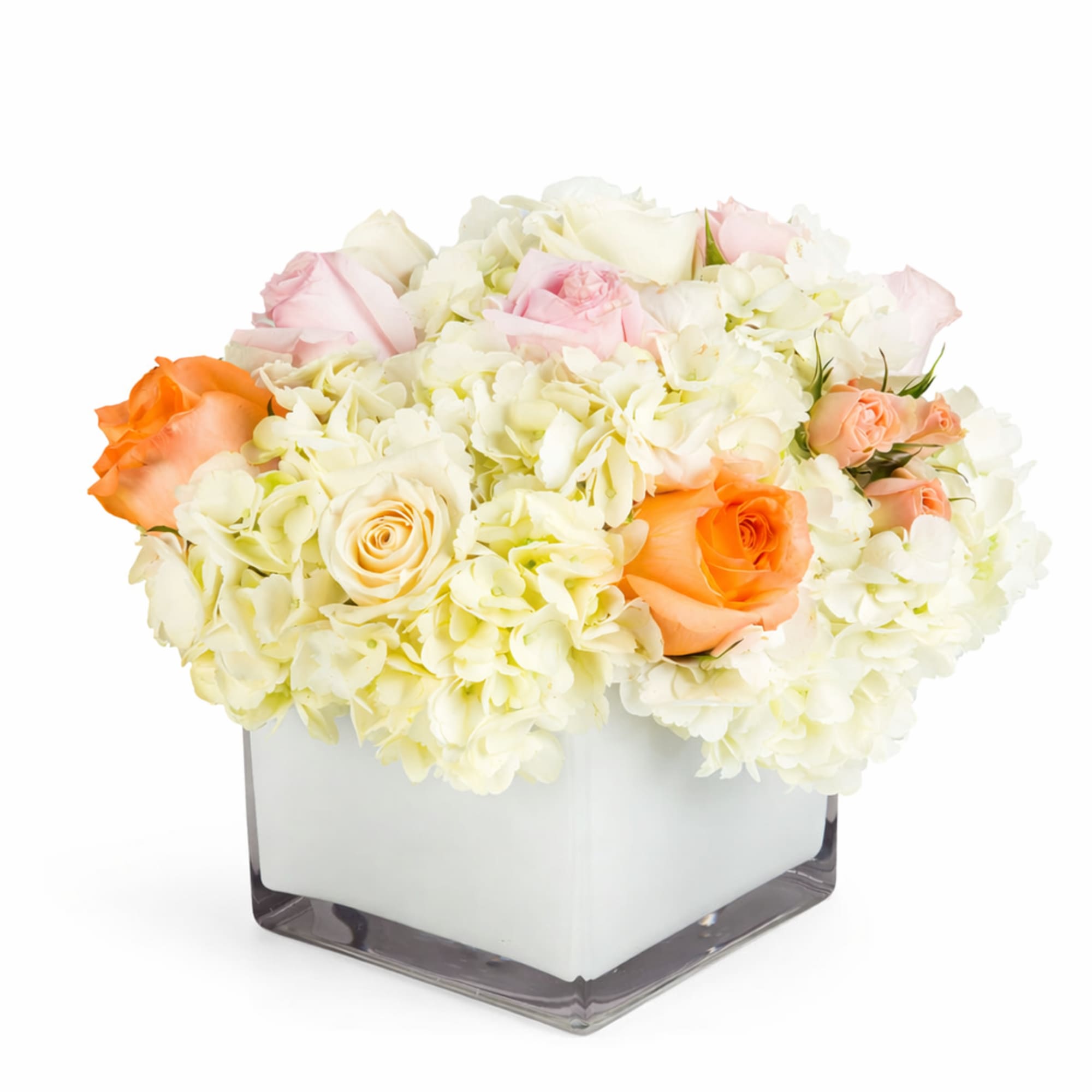 Cream and pink roses with white hydrangeas in a square glass vase
