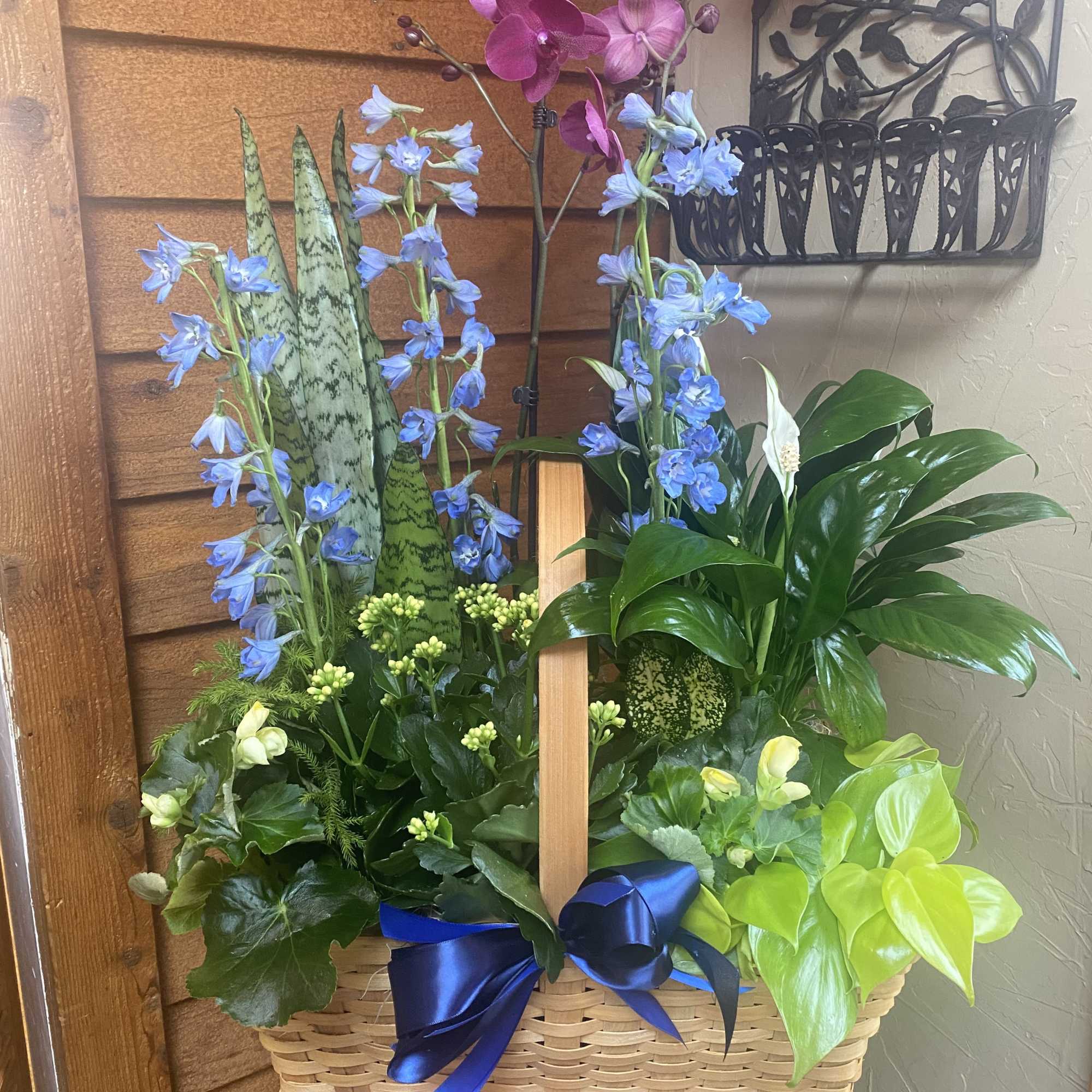 Basket arrangement with orchids, blue flowers, and a peace lily