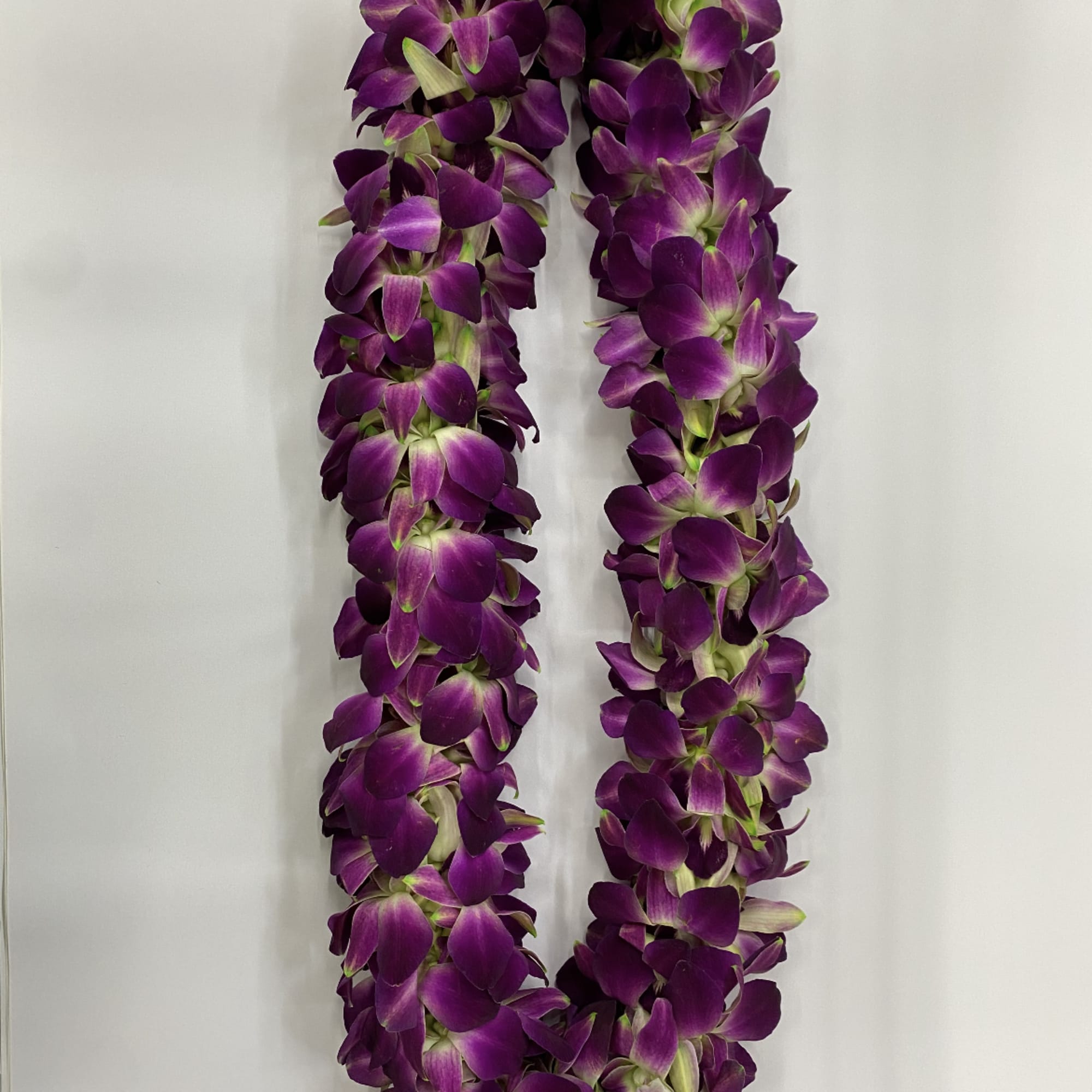 Purple orchid lei on a white background