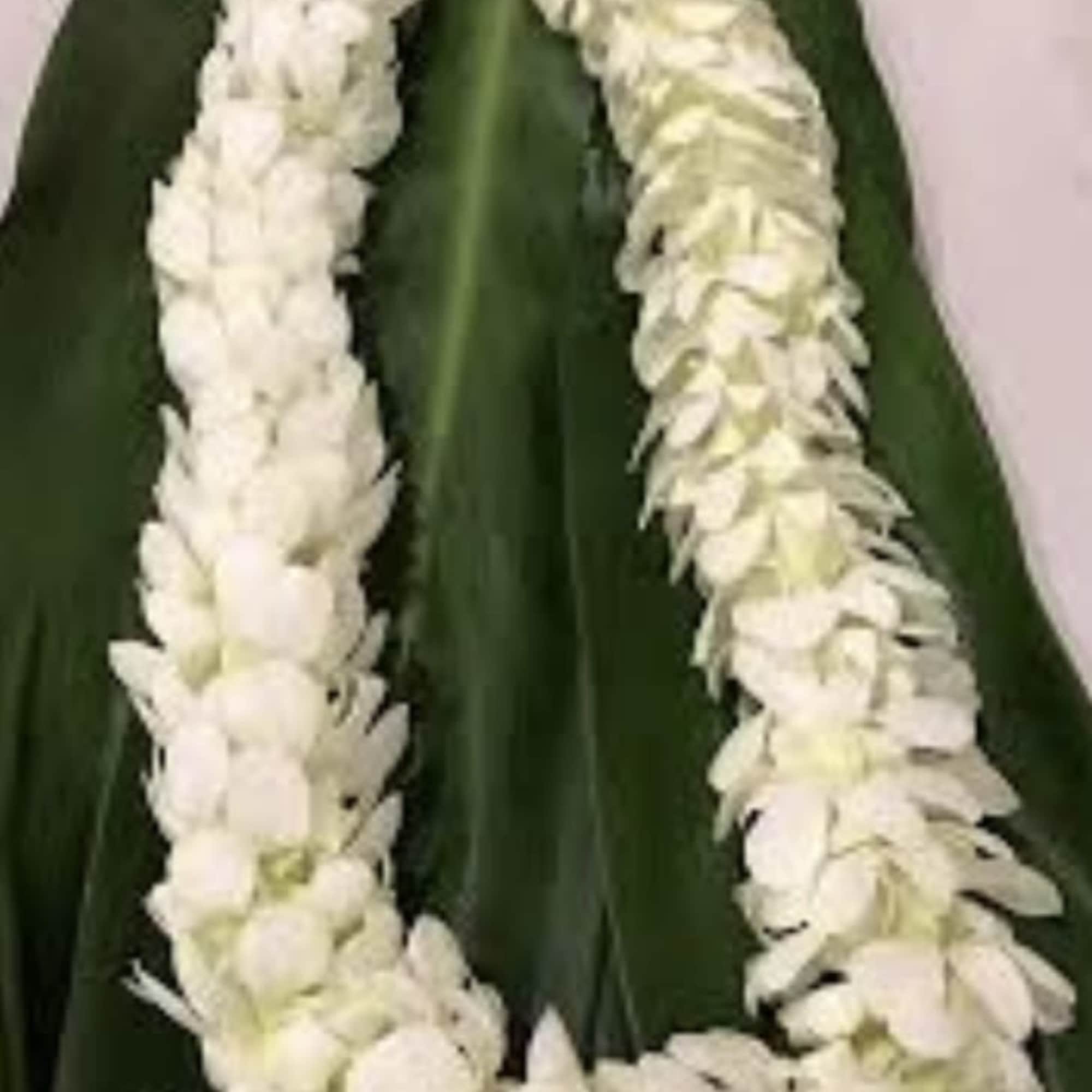 White flower lei draped over dark green leaves