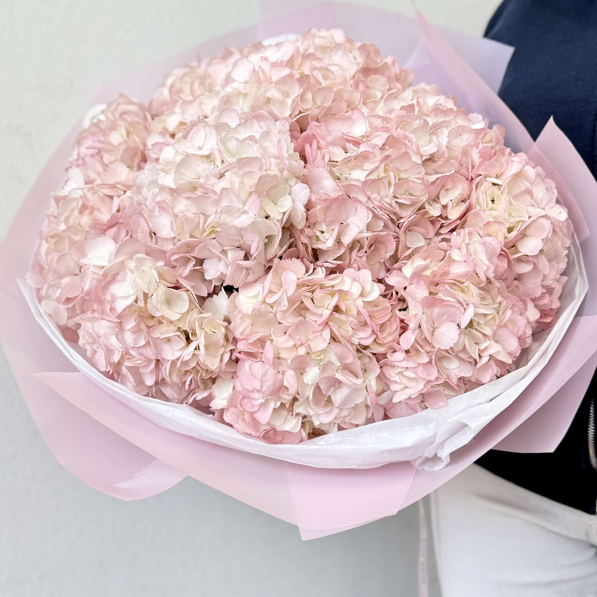 Bouquet of pale pink hydrangeas wrapped in pink paper