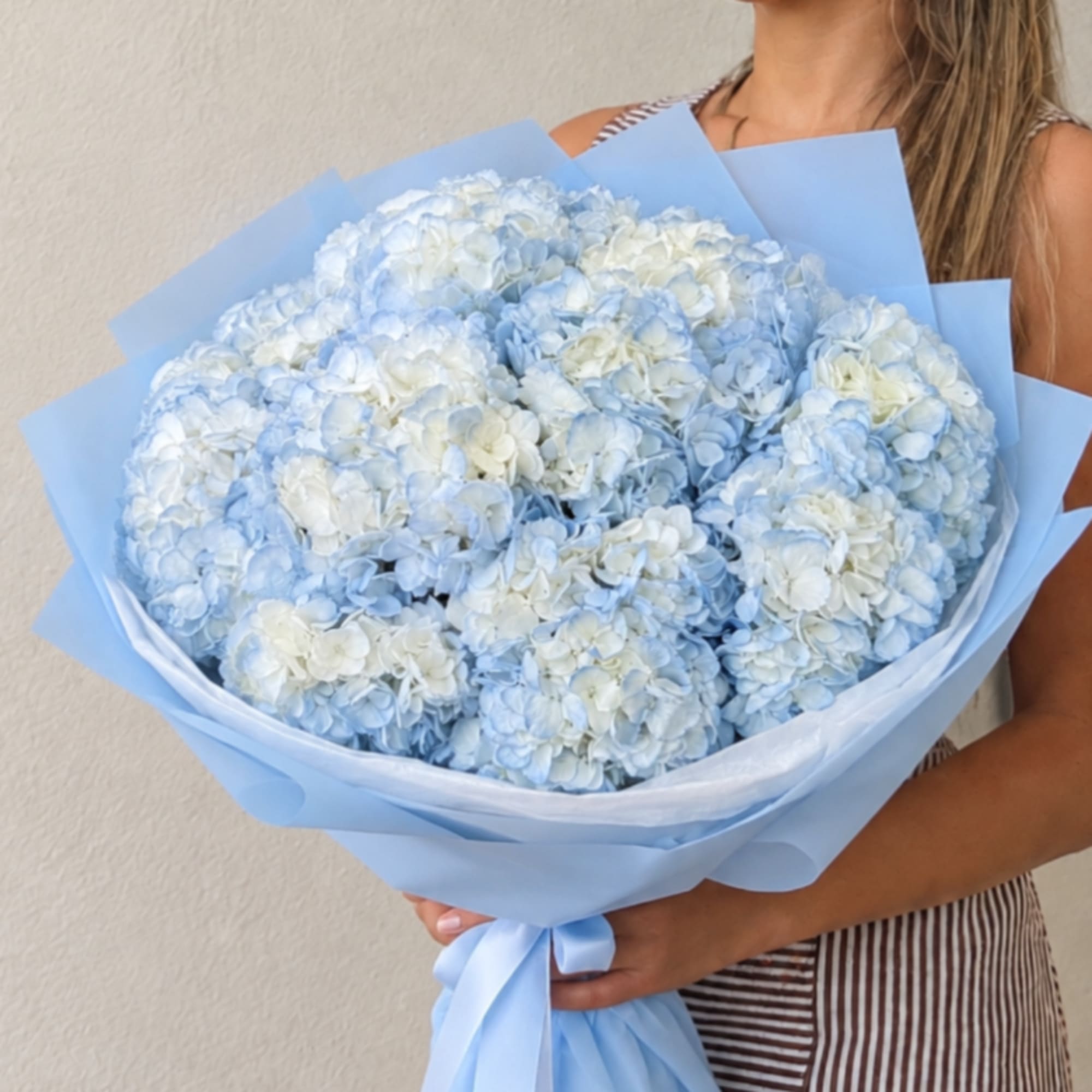 Large bouquet of pale blue and white hydrangeas wrapped in blue paper