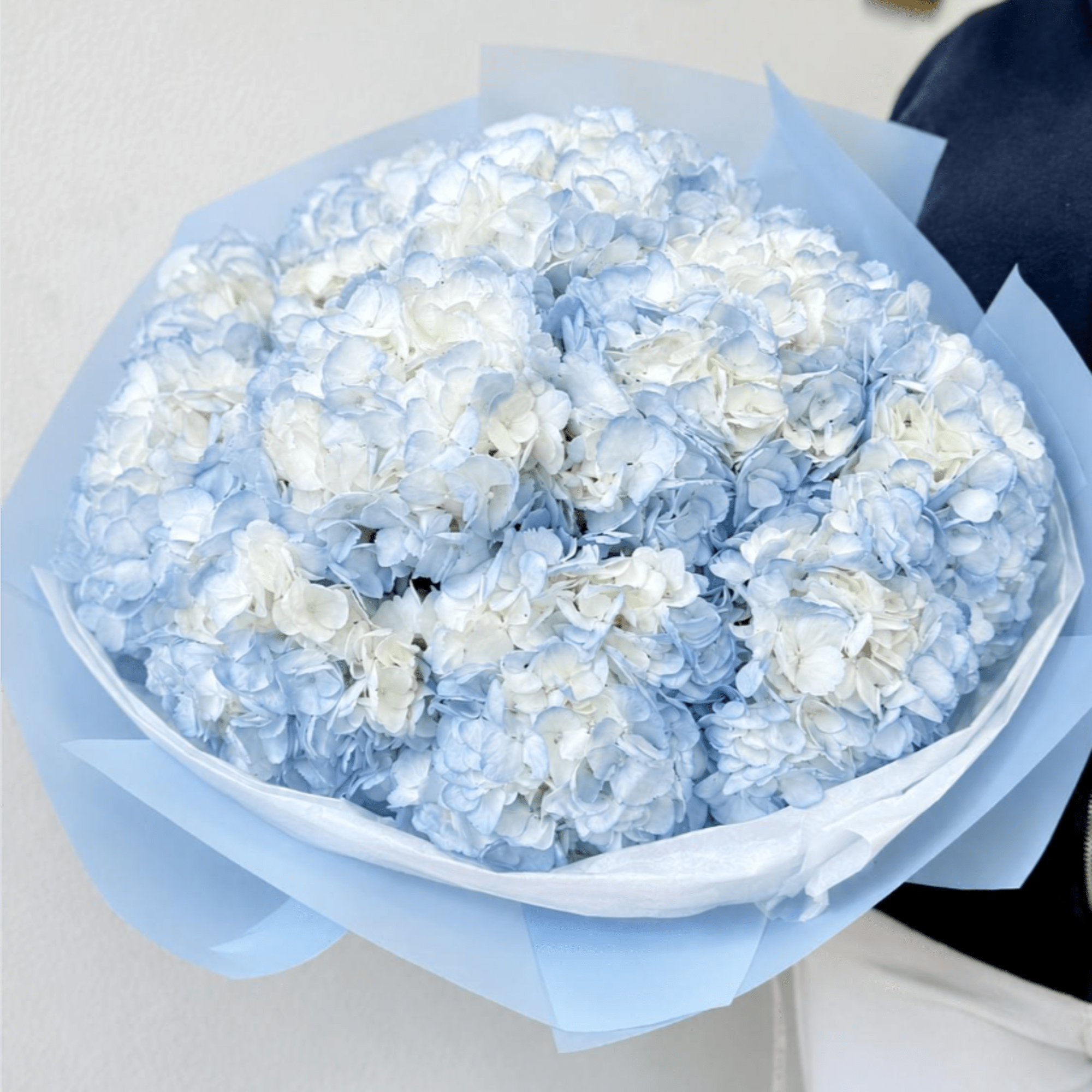 Bouquet of pale blue and white hydrangeas wrapped in light blue paper