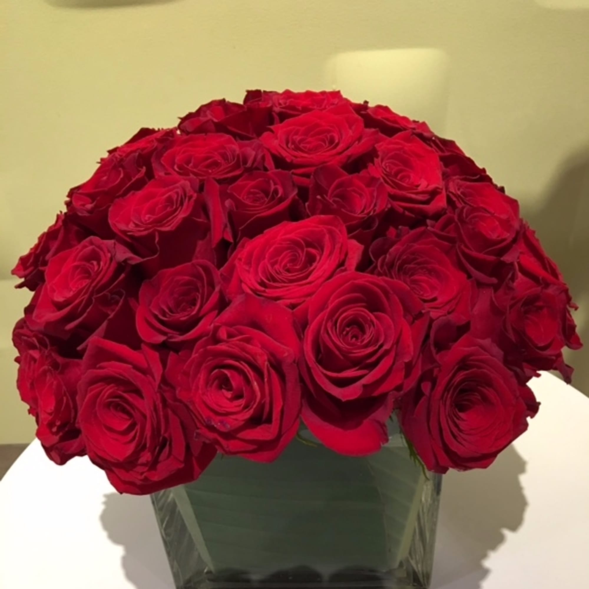 Red roses arranged in a square glass vase