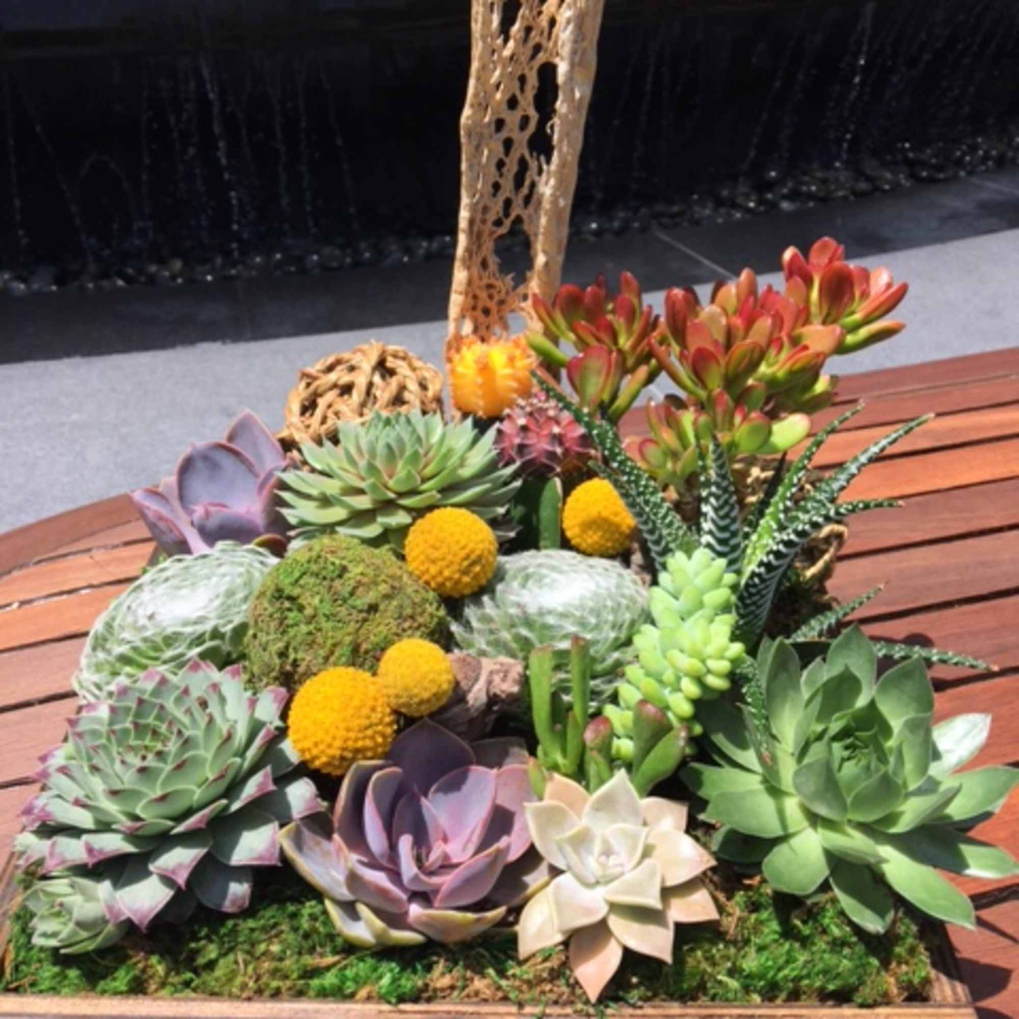 Succulent arrangement in a wooden planter with decorative dried accents