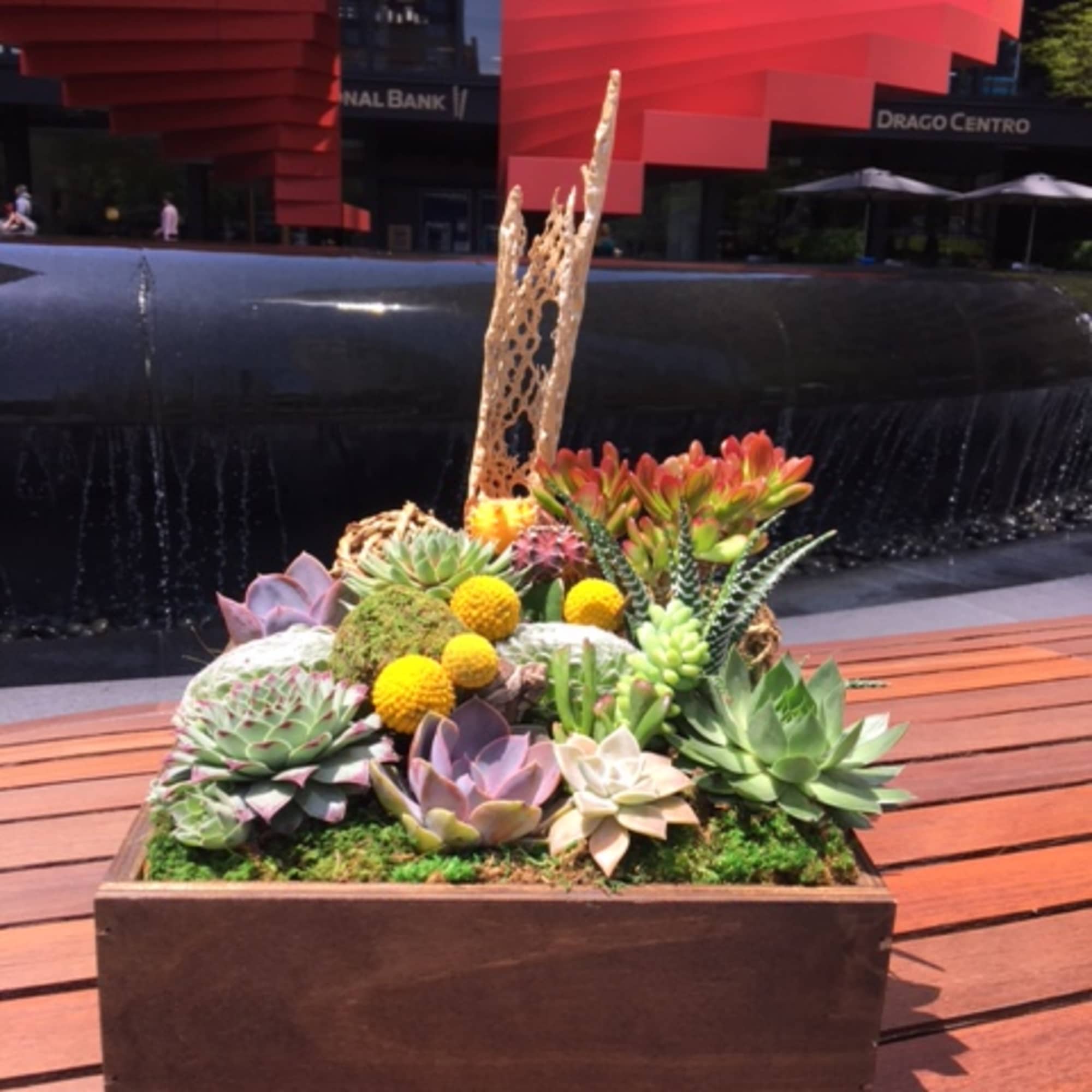 Succulent arrangement in a rectangular wooden planter with yellow accents
