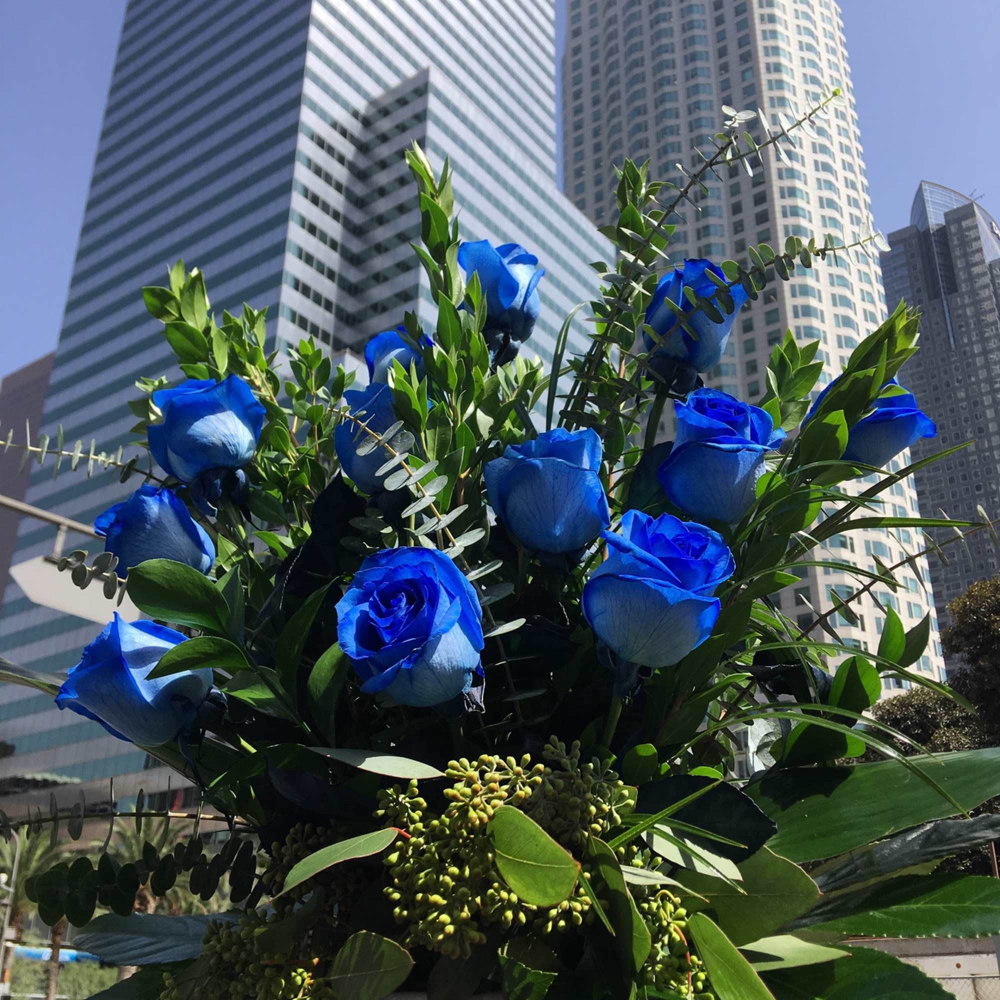 Bouquet of blue roses with greenery in a tall container