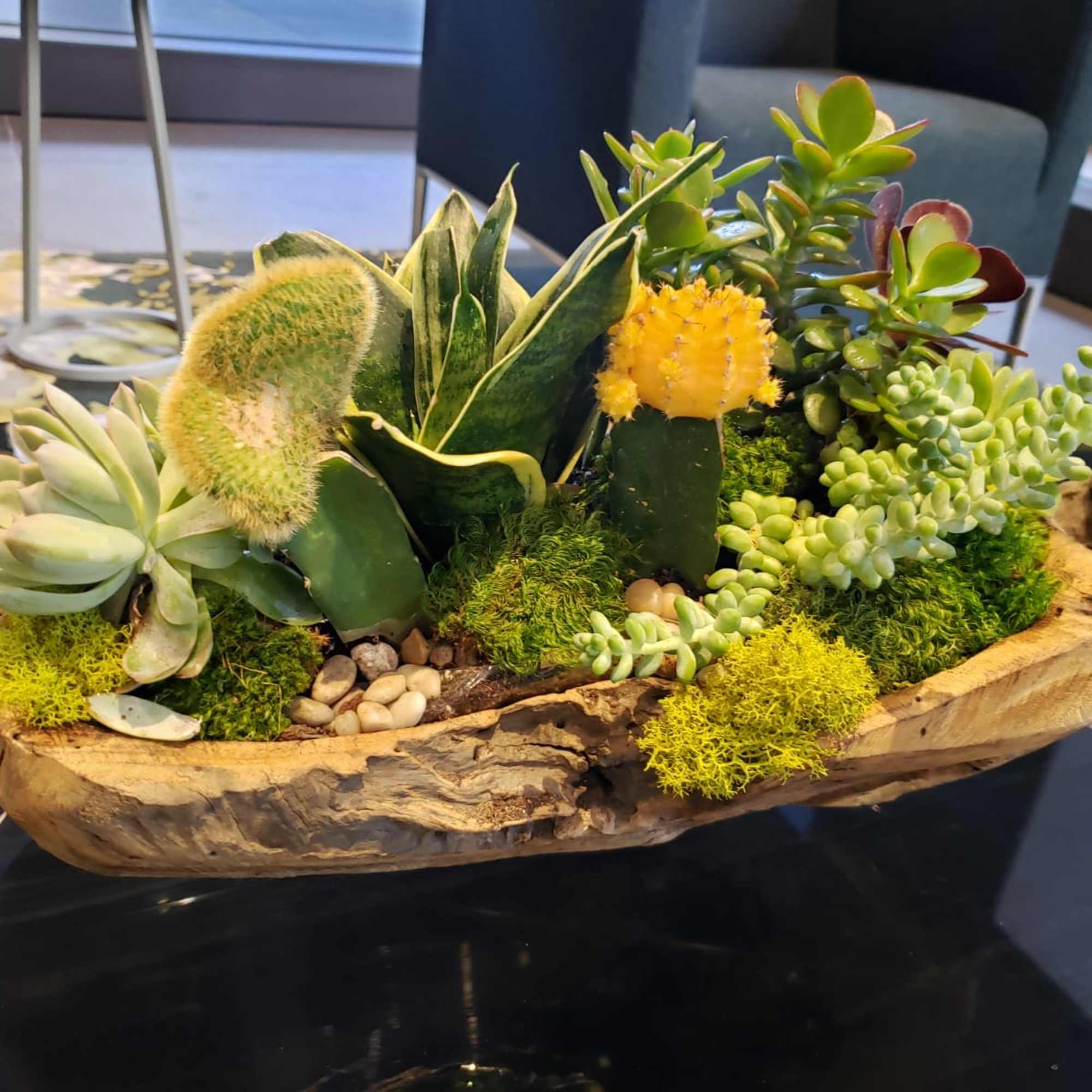 Assorted succulents and a yellow cactus arranged in a rustic wooden bowl planter