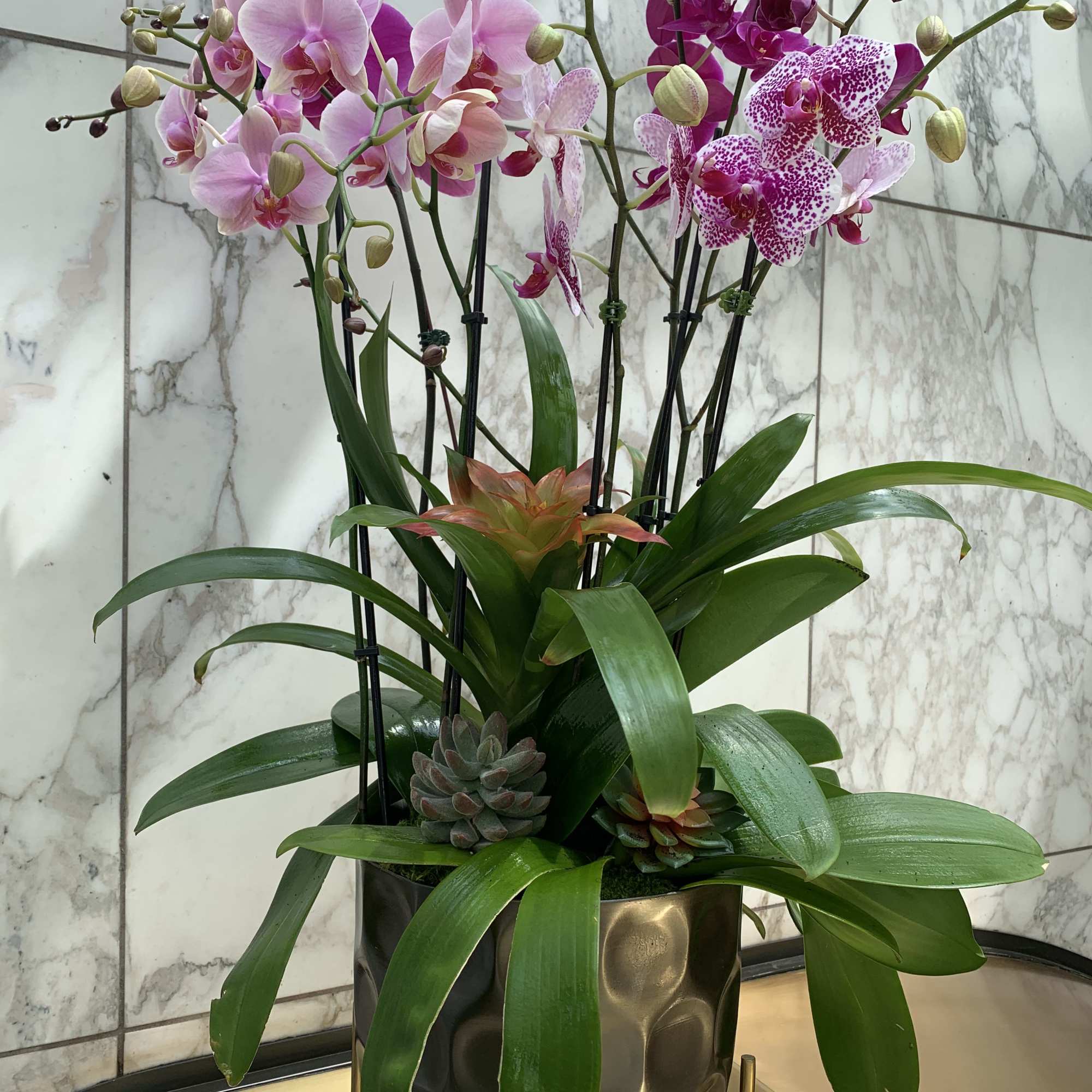Potted orchid arrangement with pink and magenta blooms in a metallic planter
