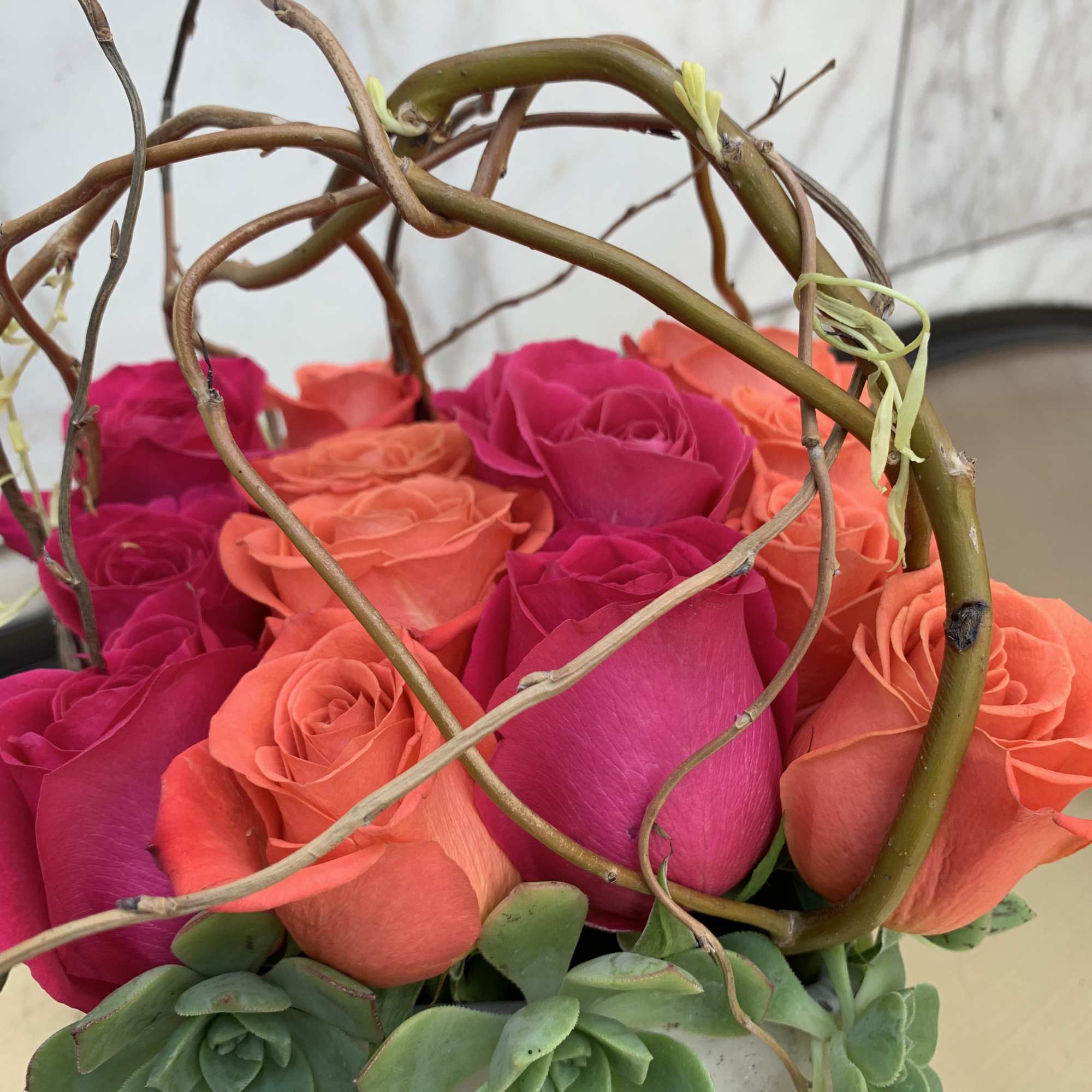 Pink and coral roses in a square container with succulents and curly branches