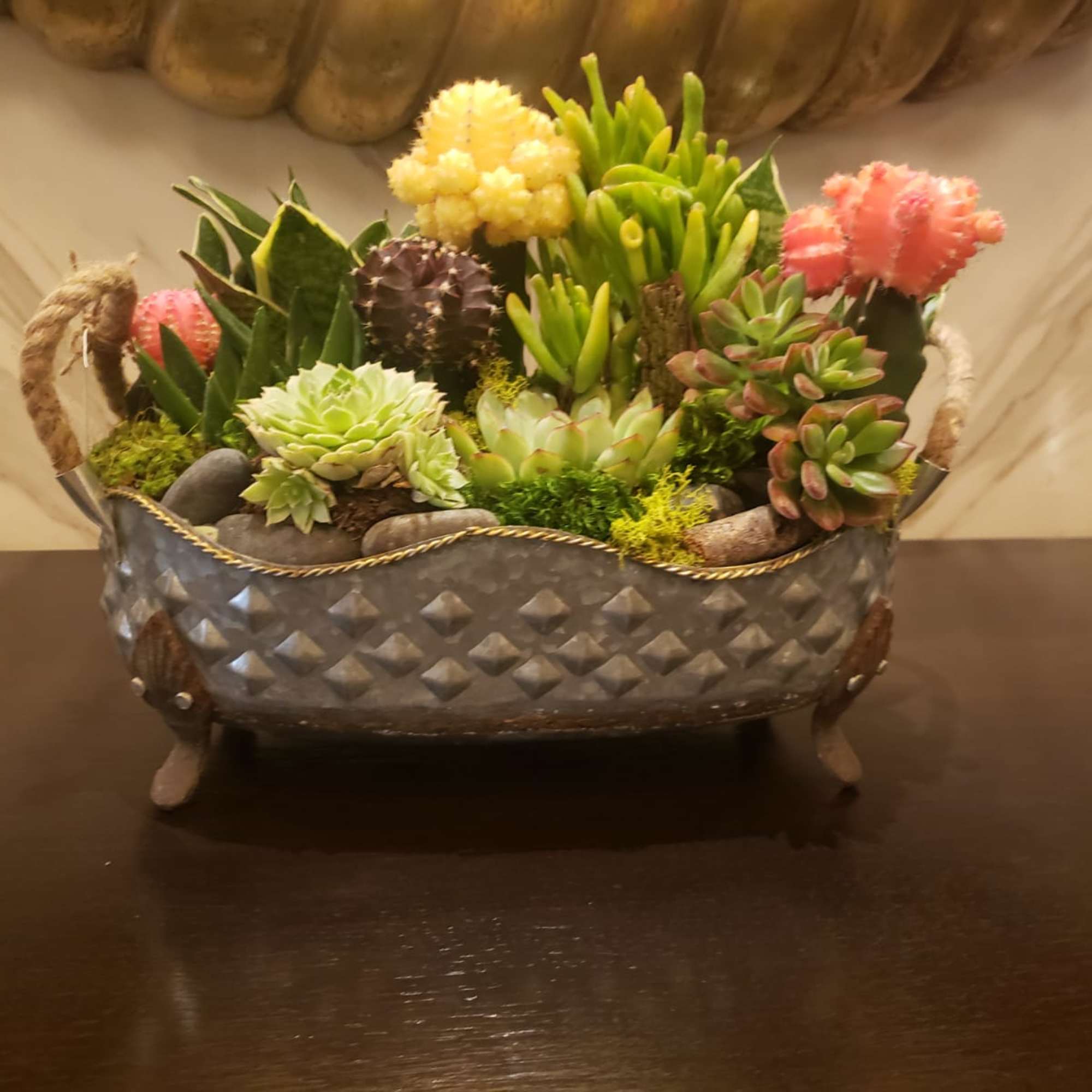 Mixed succulent arrangement in a decorative metal basket