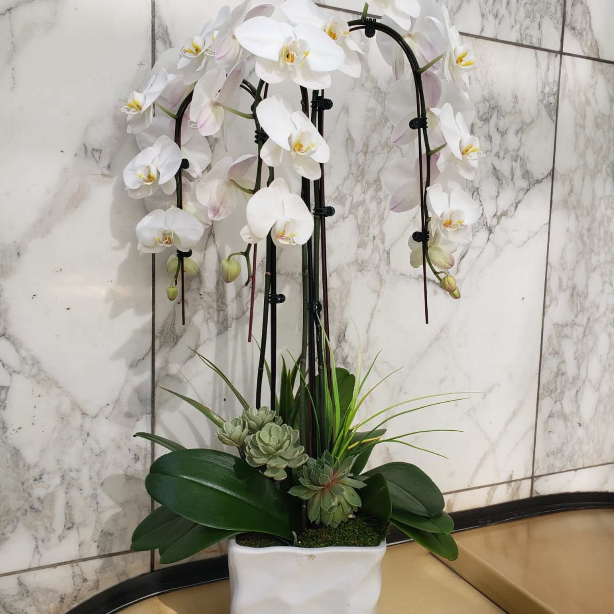 White orchid arrangement in a square white planter with succulents