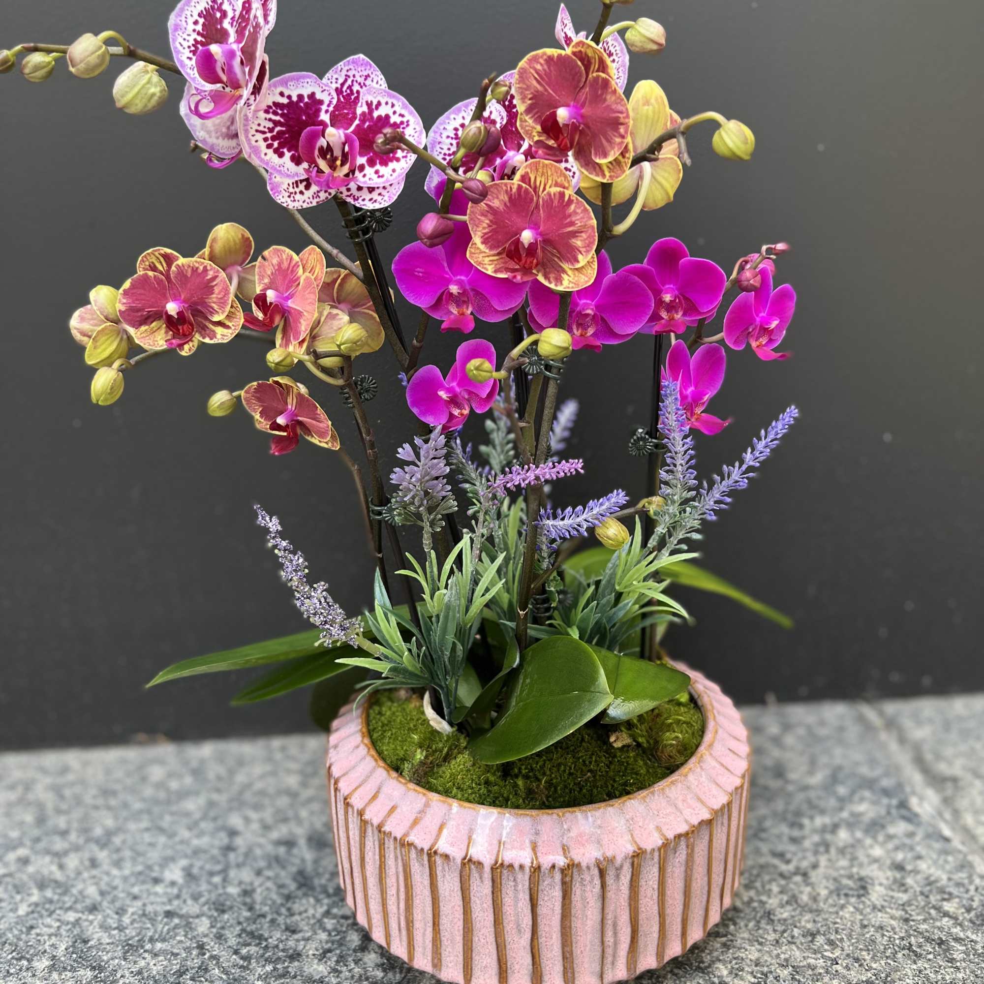 Potted orchid arrangement with pink and purple blooms in a ribbed pink container