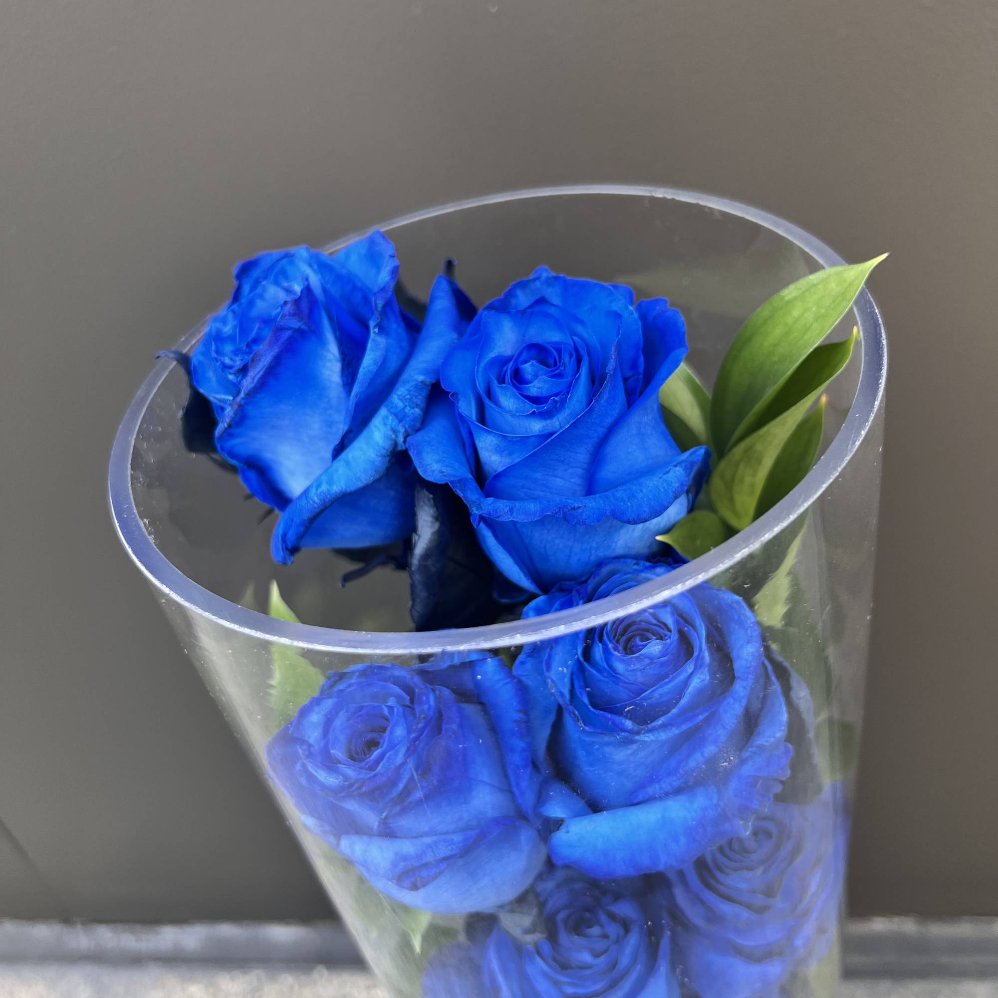 Blue roses in a clear cone vase with green leaves