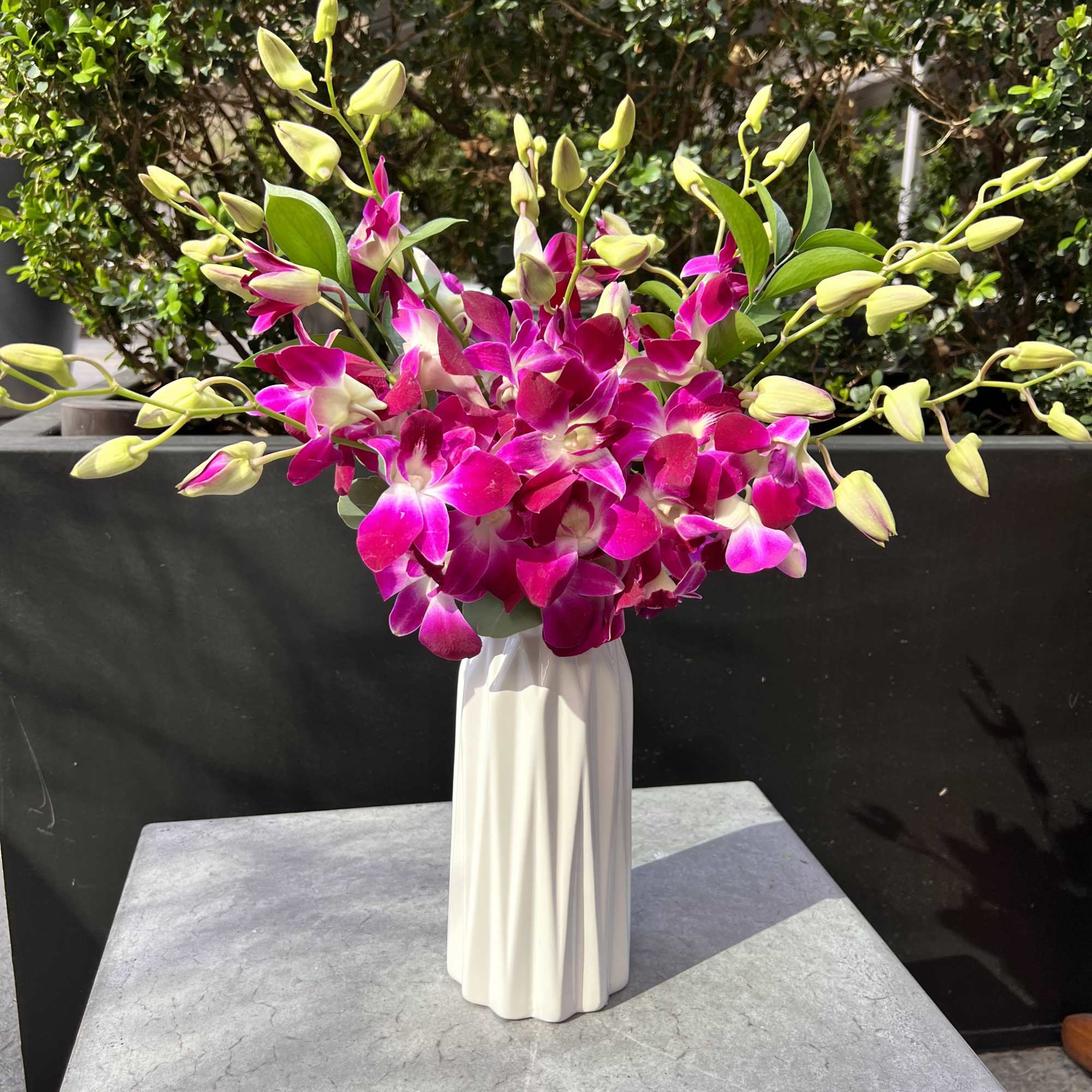 Pink and white orchids arranged in a tall white vase