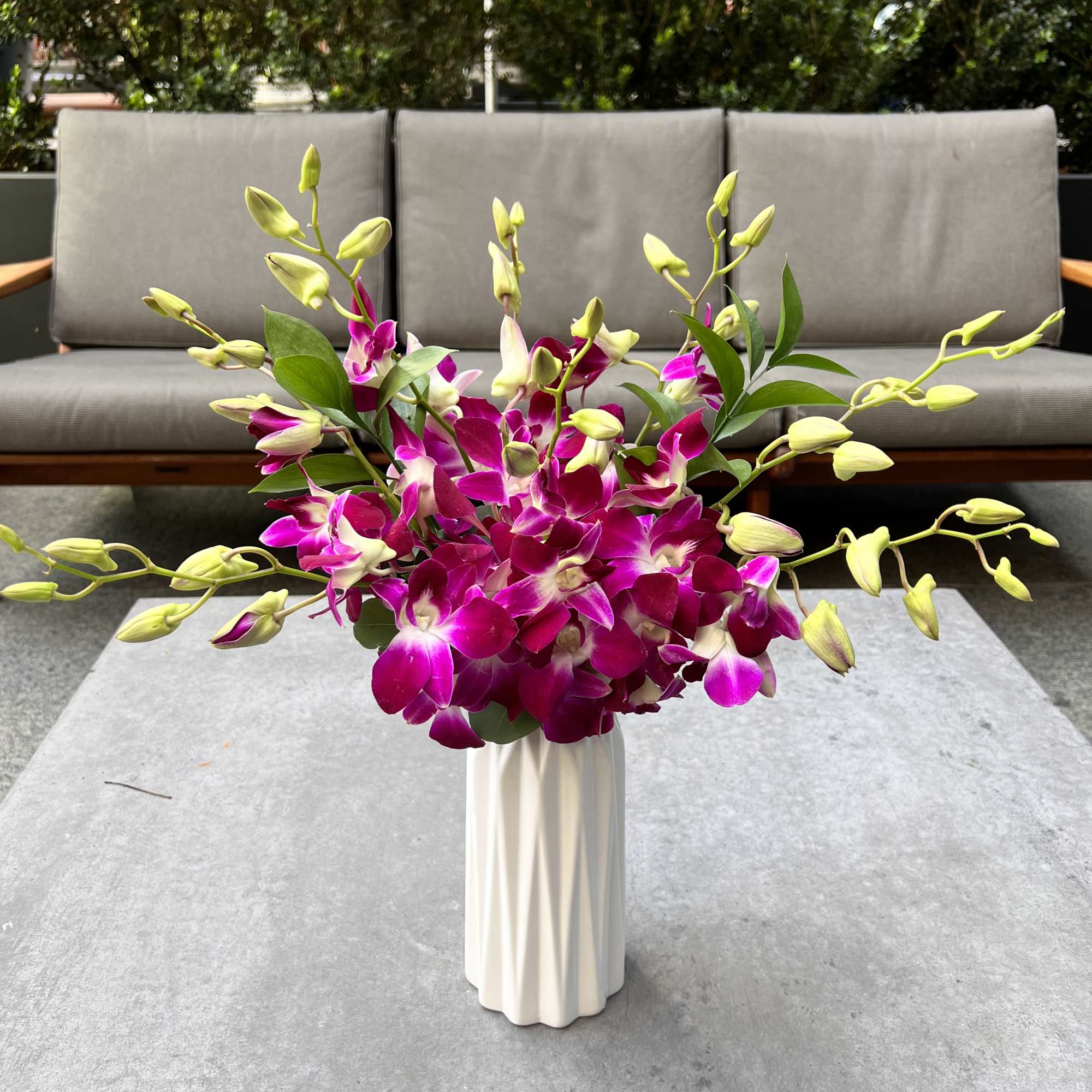 Magenta and pale yellow orchids arranged in a white vase